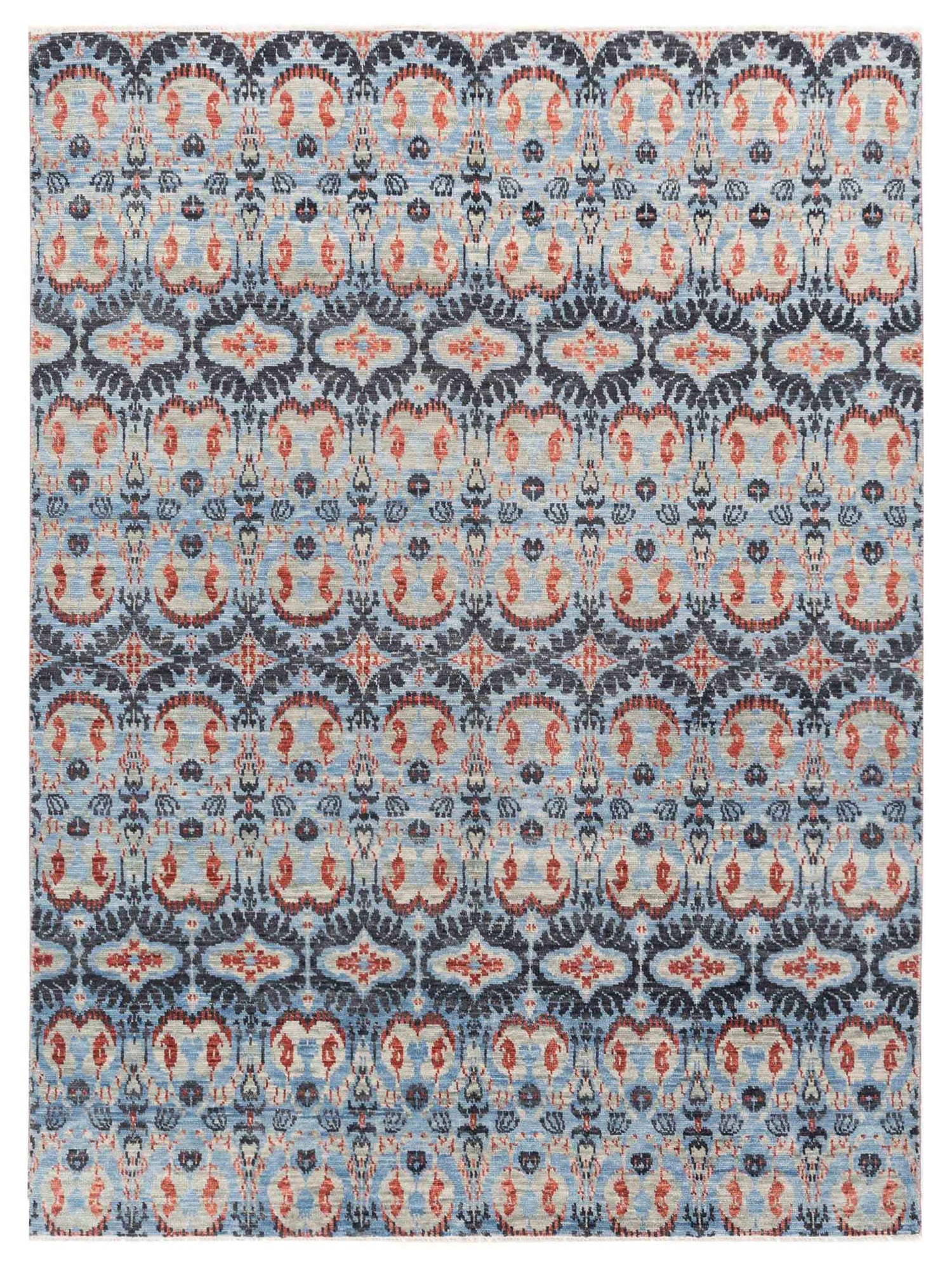 Agra Transitional Wool Handmade Hand Knotted Area Rug