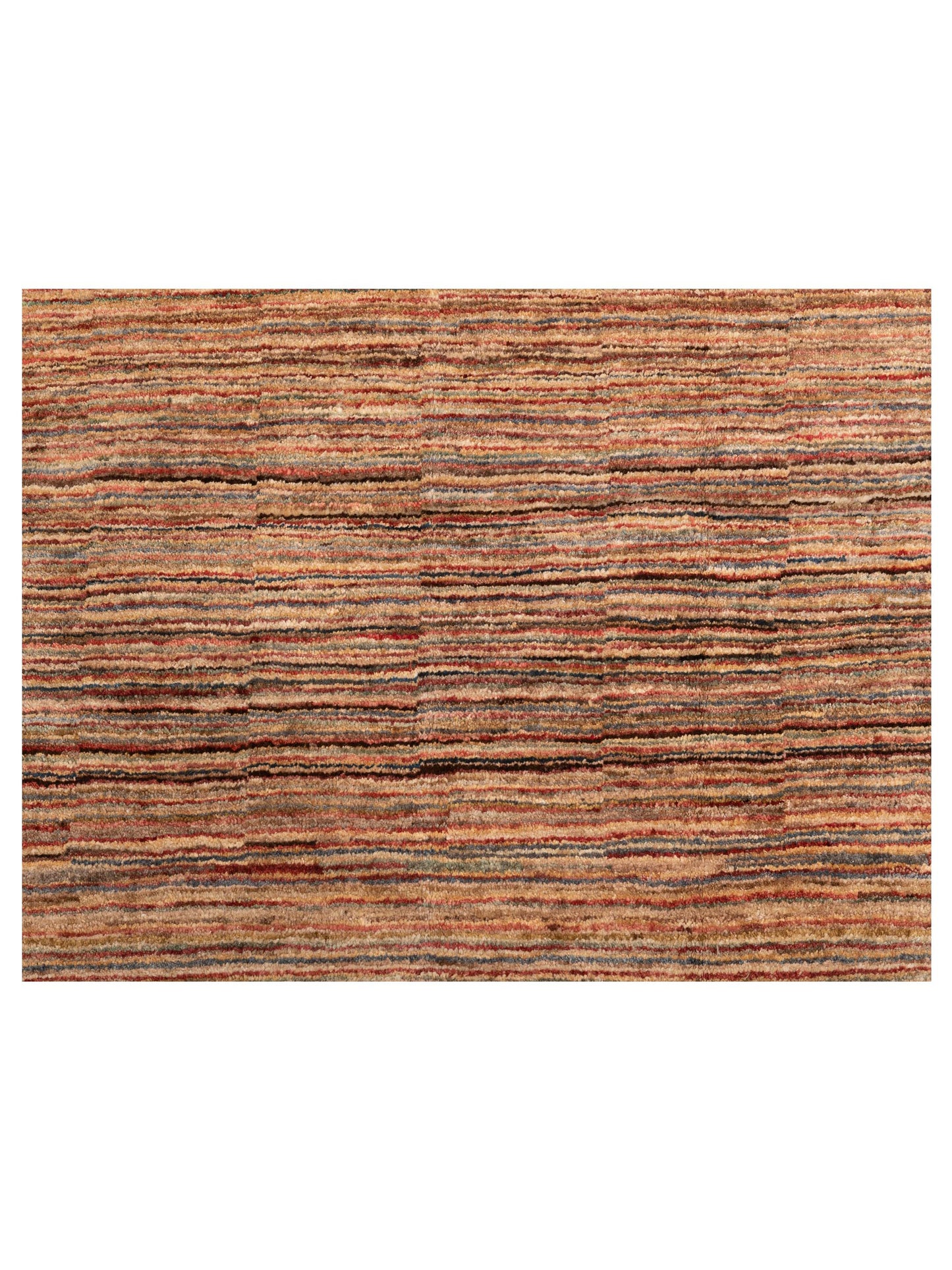 Rajpur Gabbeh 78482 Multi  Contemporary Hand Knotted Rug