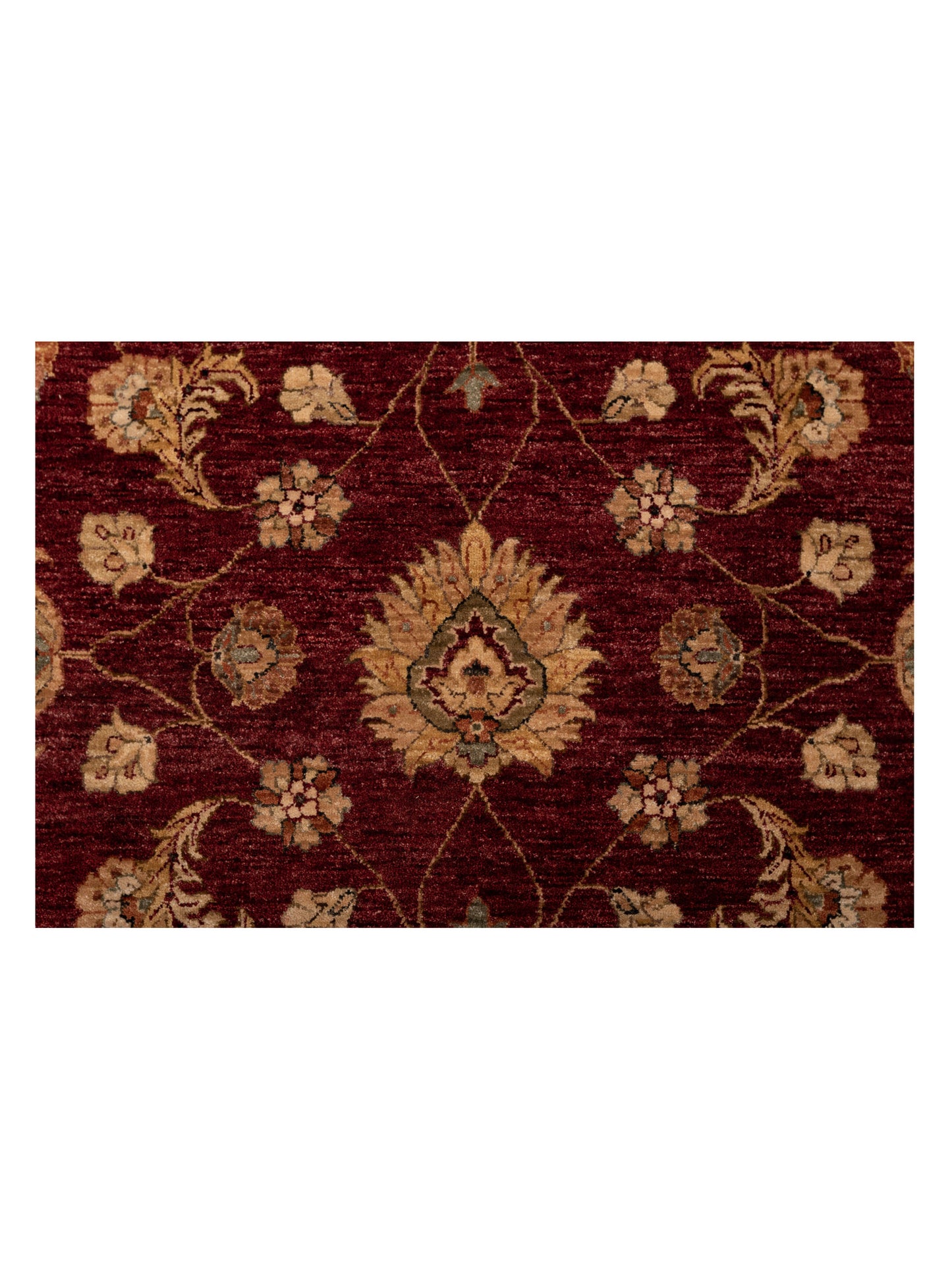 Rajpur Ghazani 81173 Red Ivory Transitional Hand Knotted Rug