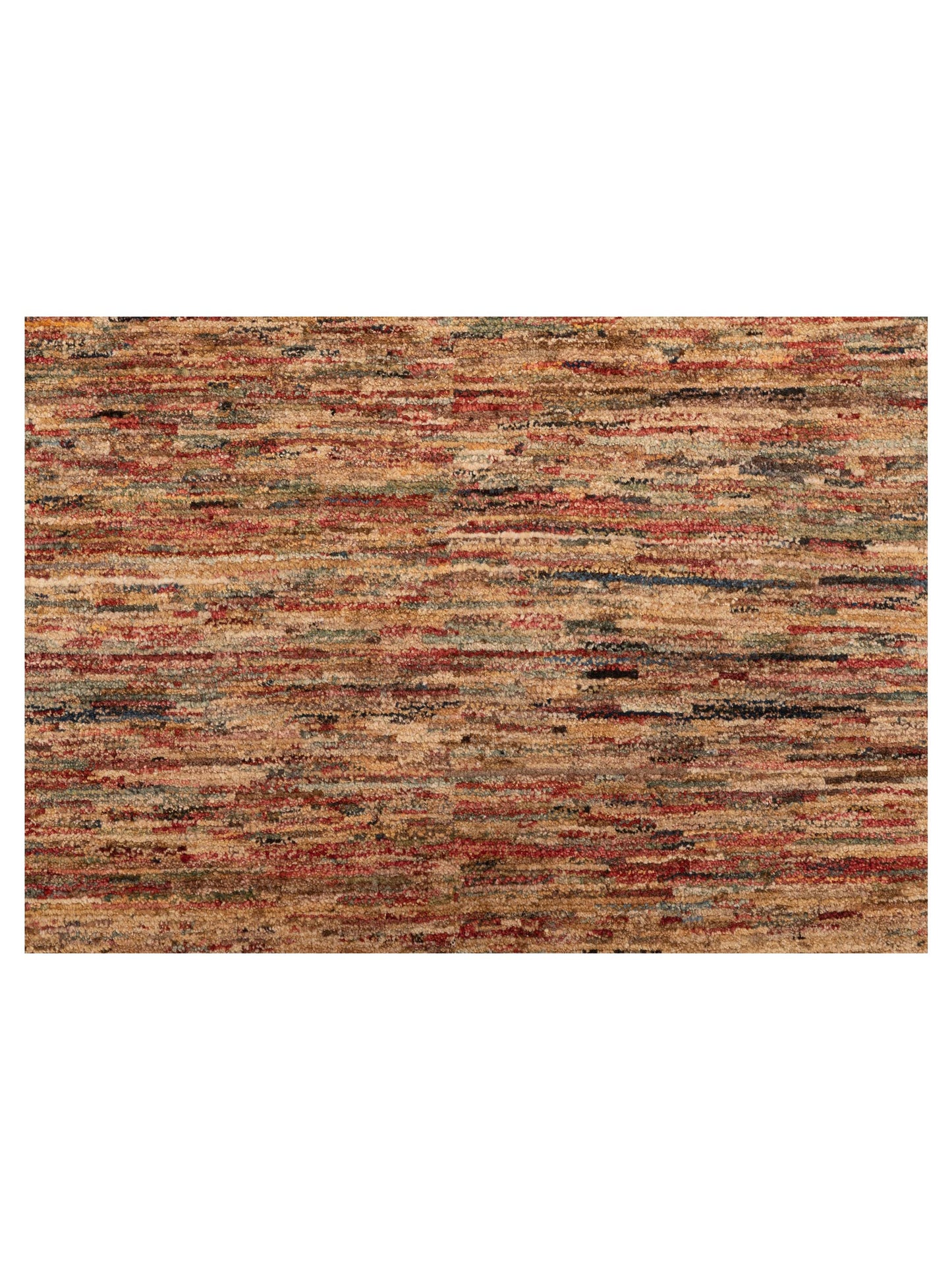 Rajpur Gabbeh 81880 Multi  Contemporary Hand Knotted Rug