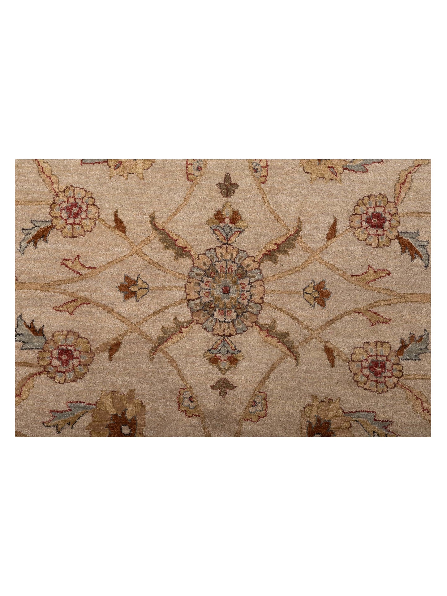 Rajpur Ghazani 88669 Ivory Gold Transitional Hand Knotted Rug