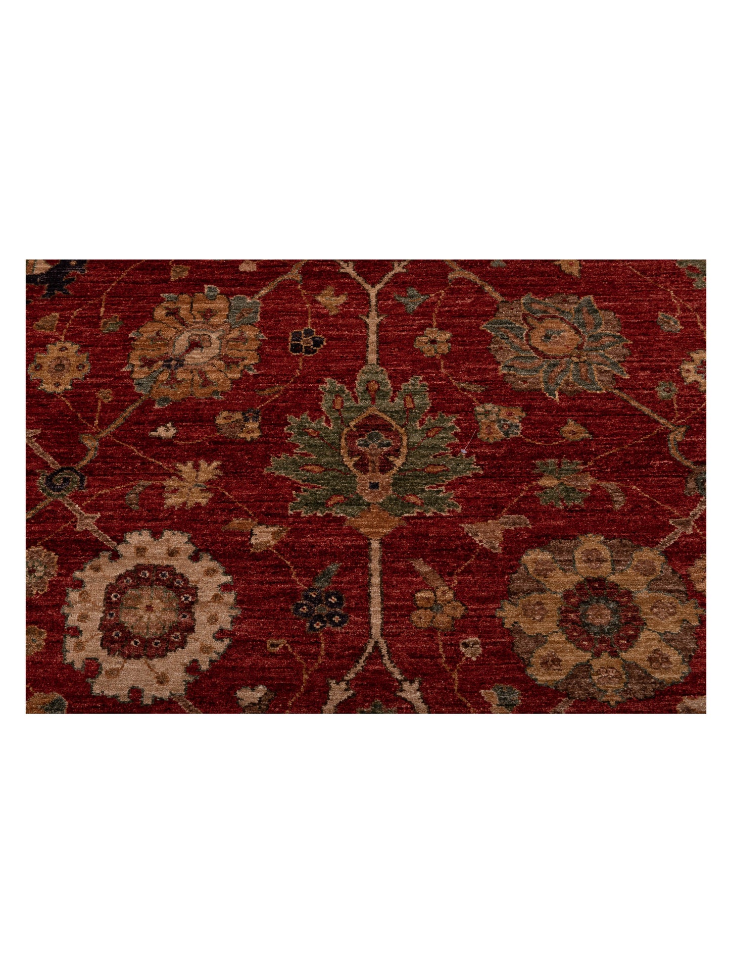 Pasha Elvan Turku Red Ivory Traditional Hand Knotted Rug