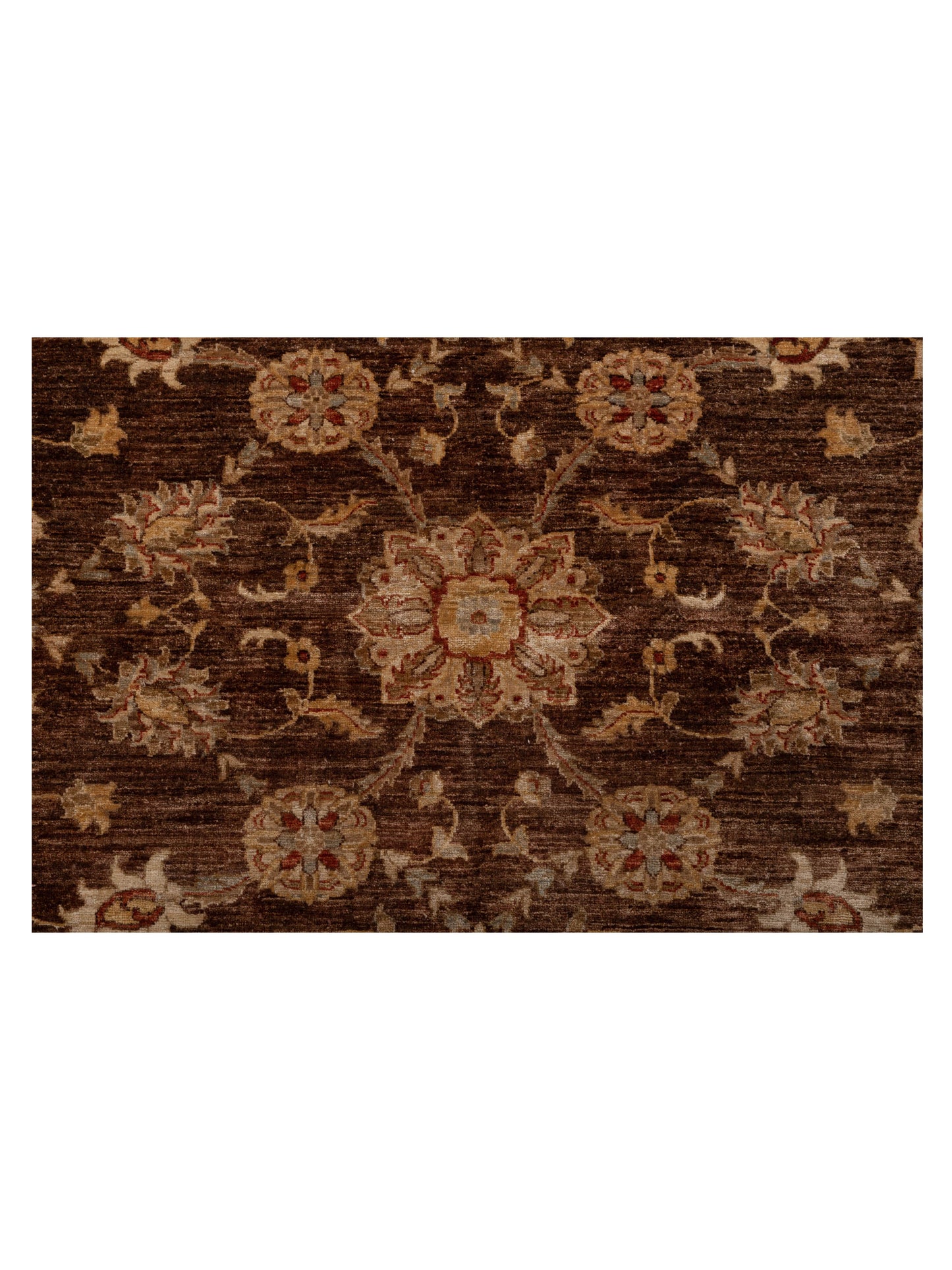 Pasha Sultan 96892 Chocolate Ivory Traditional Hand Knotted Rug