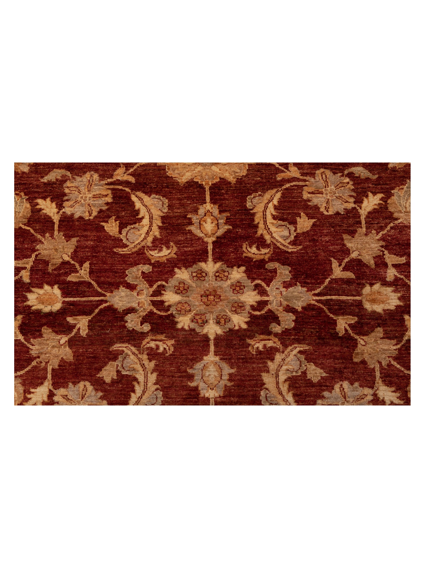 Pasha Sultan 96893 Red Light Brown Traditional Hand Knotted Rug