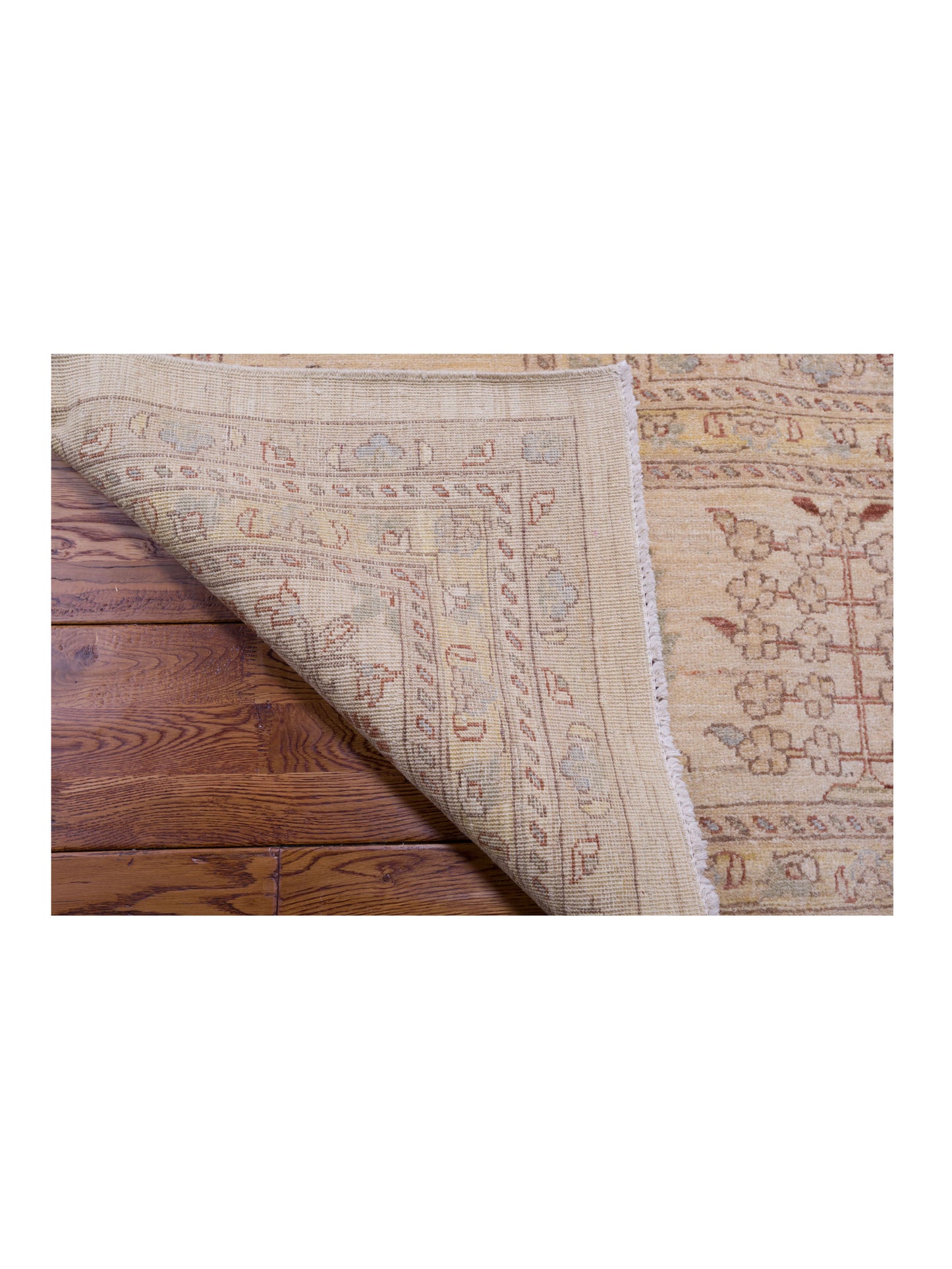 Pasha Sultan 96933 Ivory Ivory Traditional Hand Knotted Rug