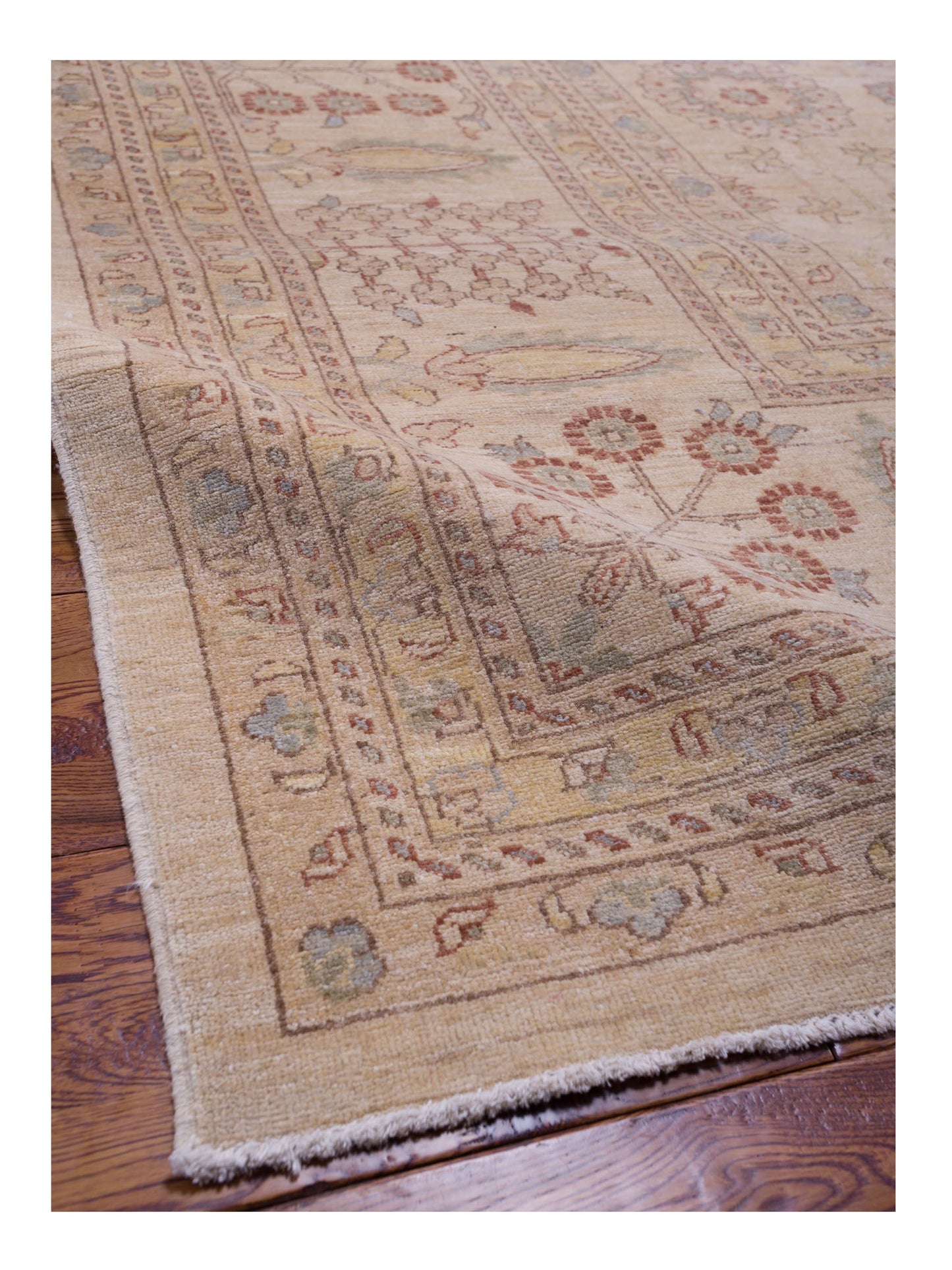 Pasha Sultan 96933 Ivory Ivory Traditional Hand Knotted Rug