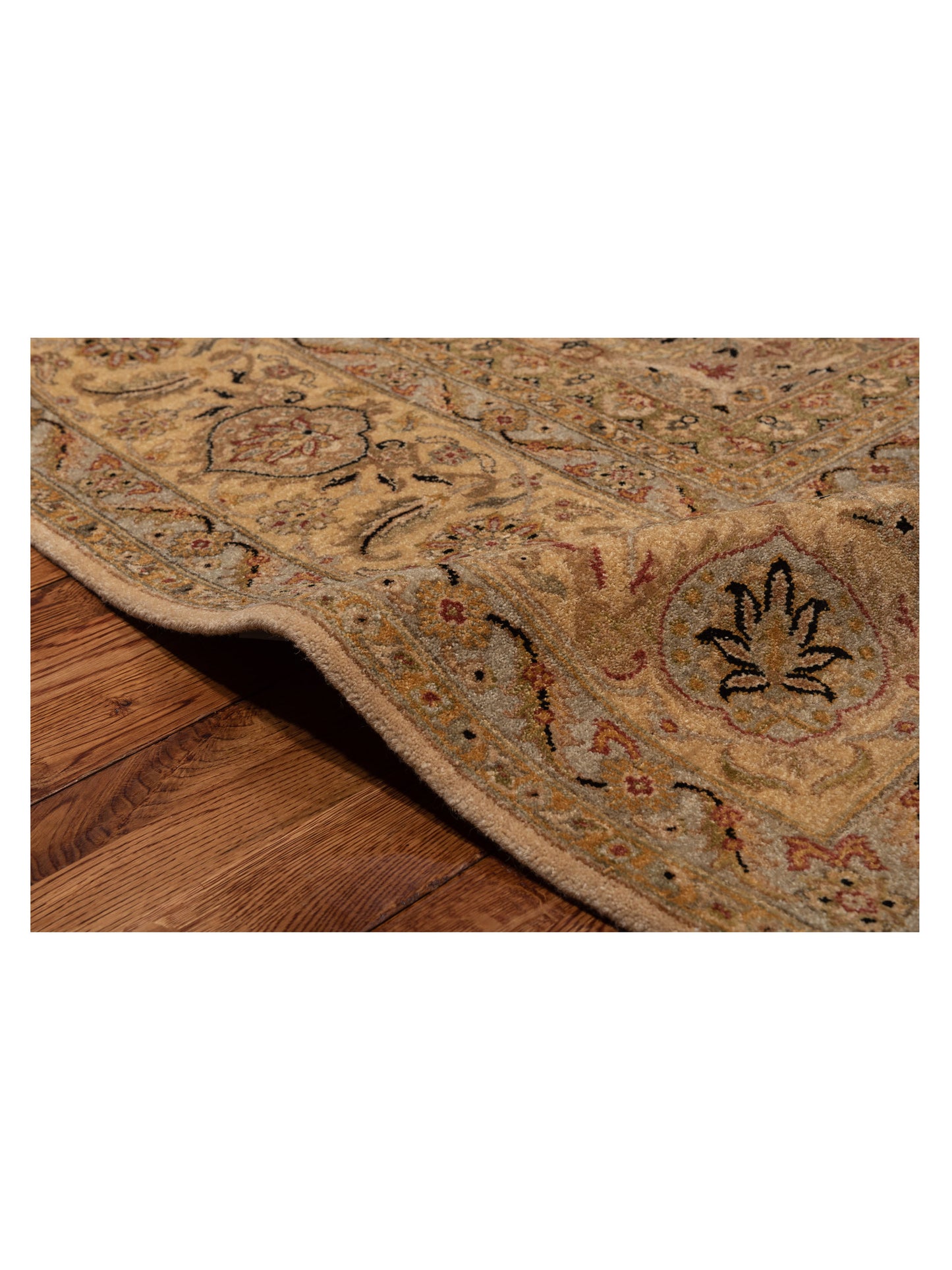 Rajpur Haji Jalili 106768 Multi  Transitional Hand Knotted Rug