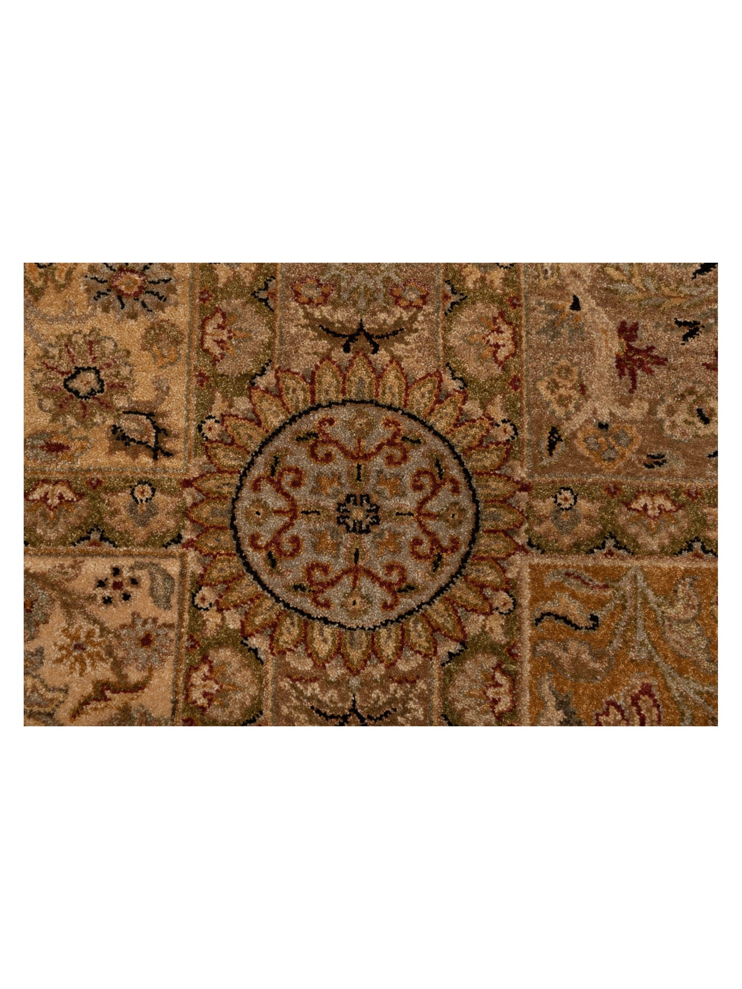 Rajpur Haji Jalili 106768 Multi  Transitional Hand Knotted Rug