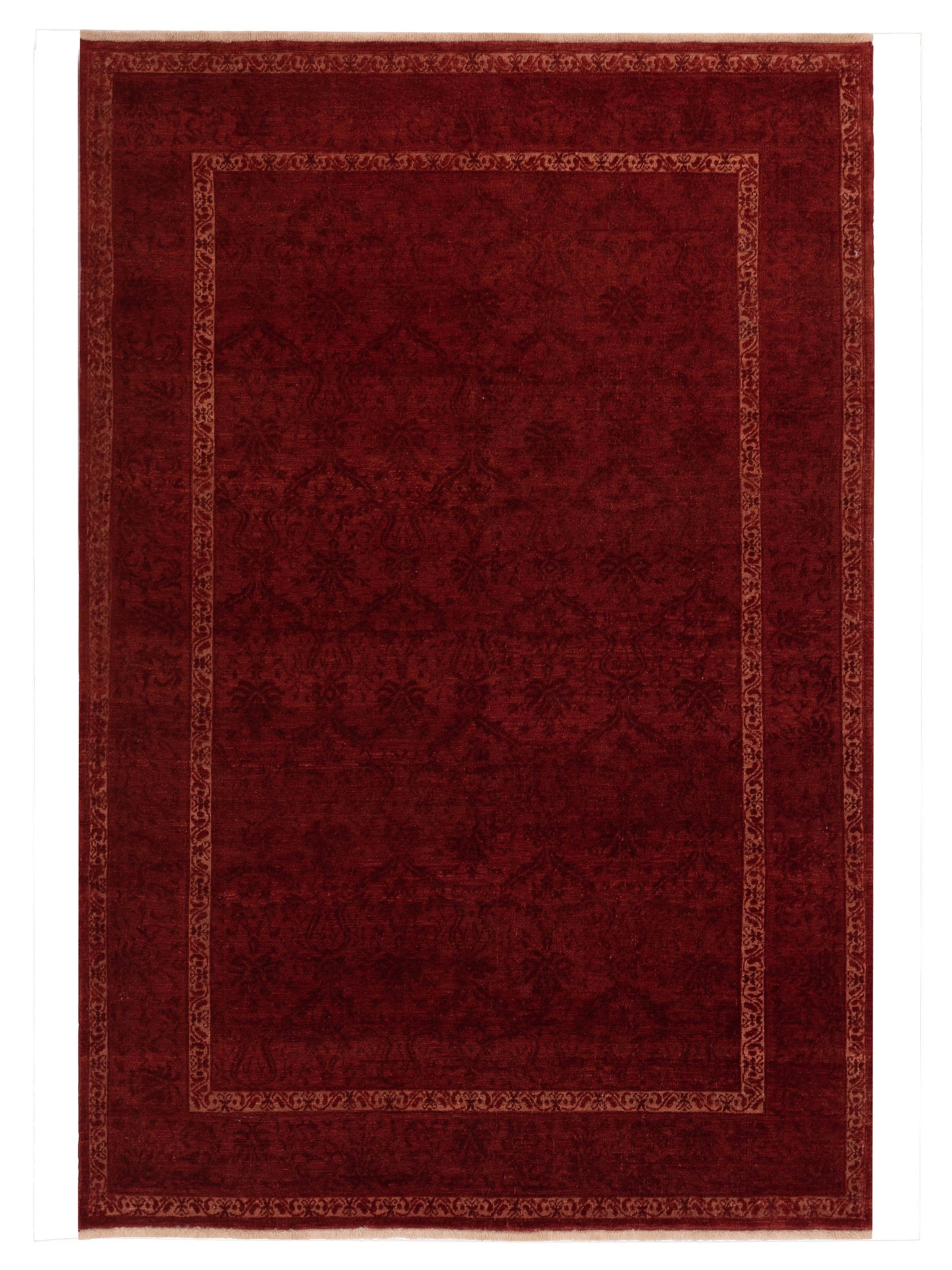 Pasha Defne Begonia Red Transitional Hand Knotted Rug