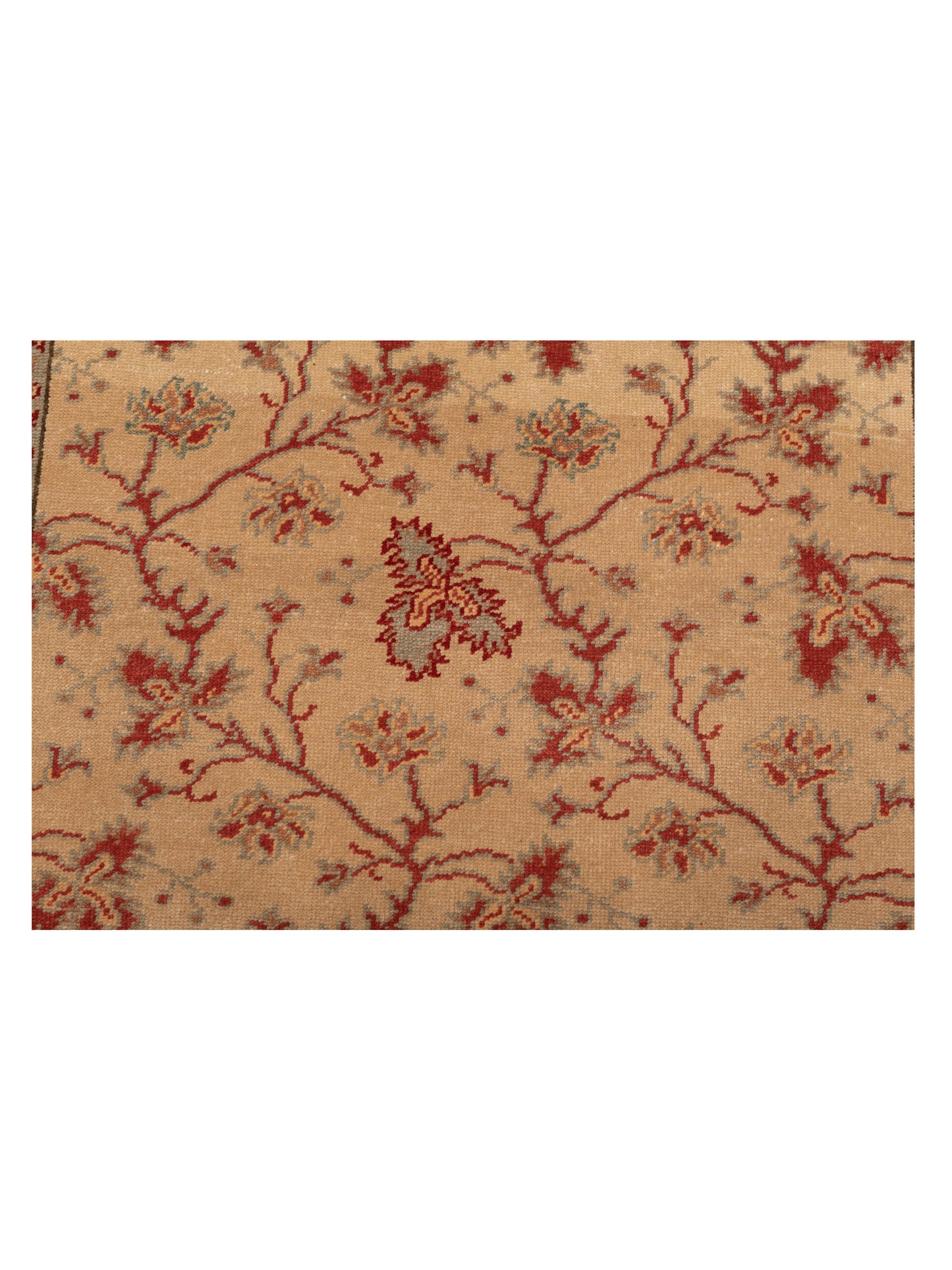 Pasha Antique Loom 107938 Beige Red Transitional Hand Knotted Rug