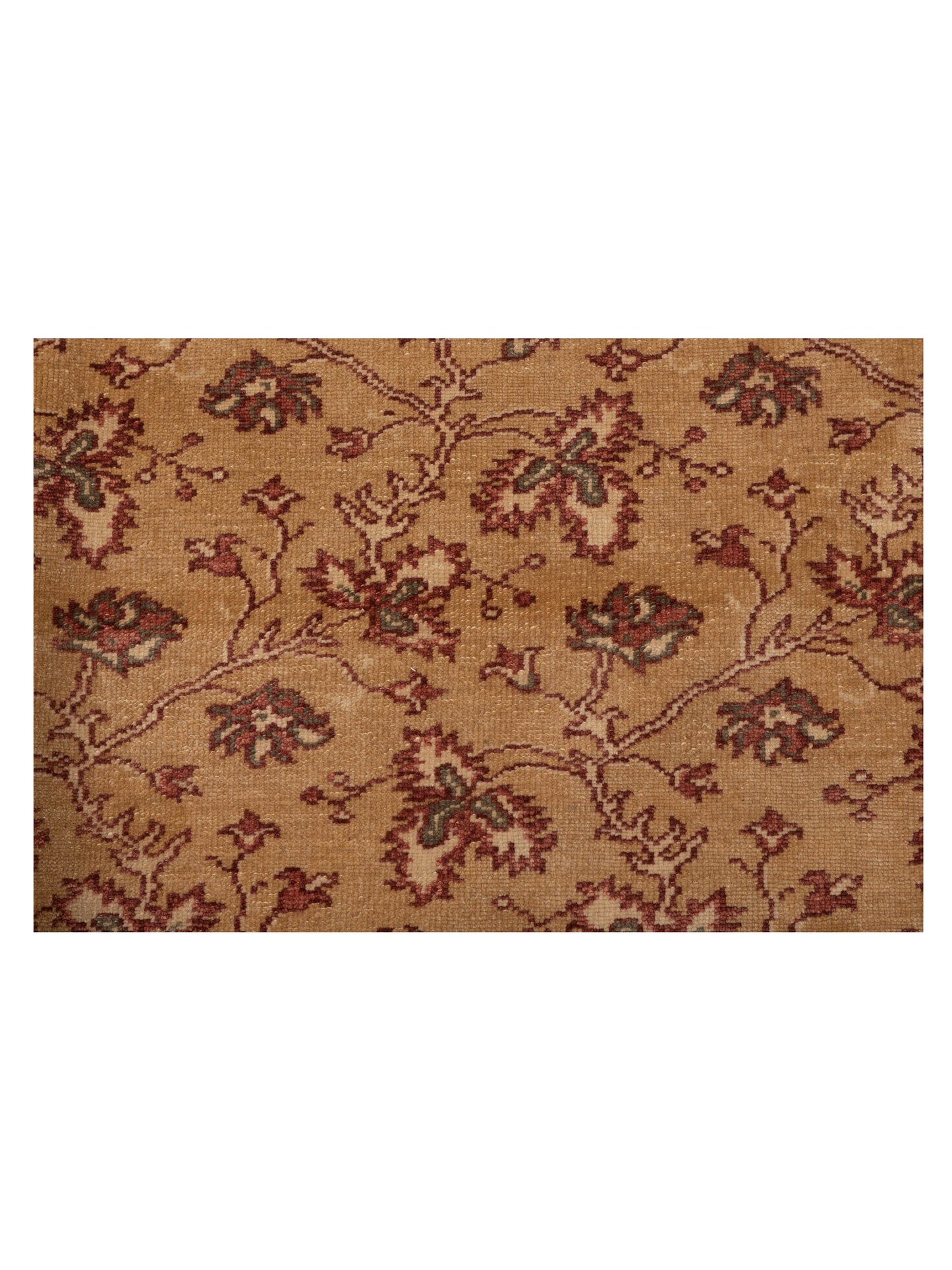 Pasha Antique Loom 107958 Gold Ivory Transitional Hand Knotted Rug