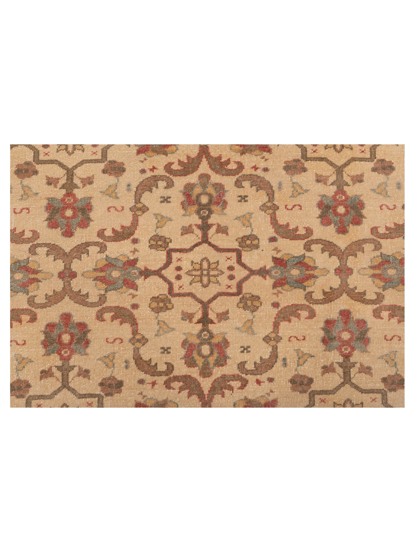 Pasha Defne Nurdan Beige Green Transitional Hand Knotted Rug