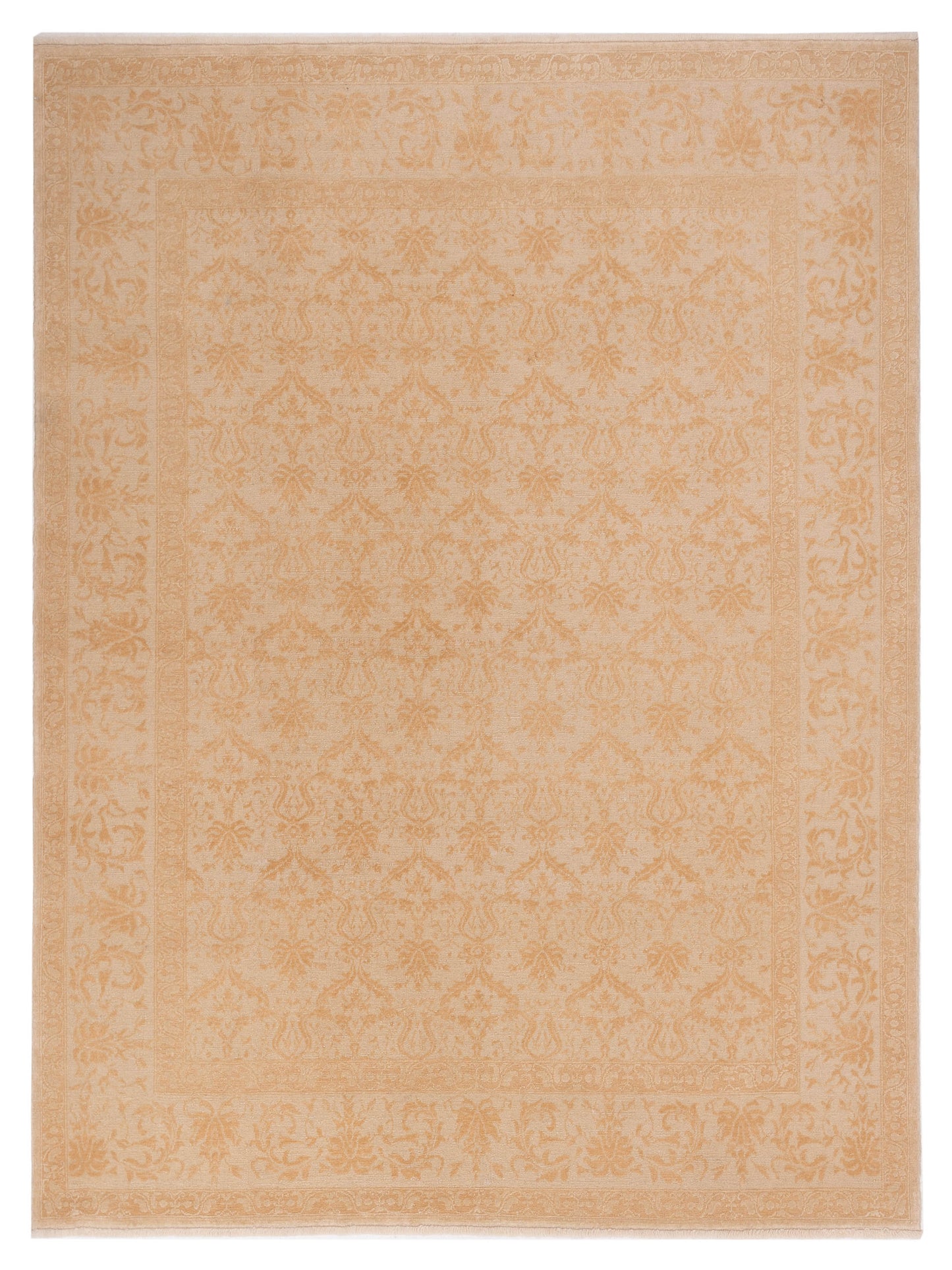 Pasha Defne Begonia Beige Transitional Hand Knotted Rug