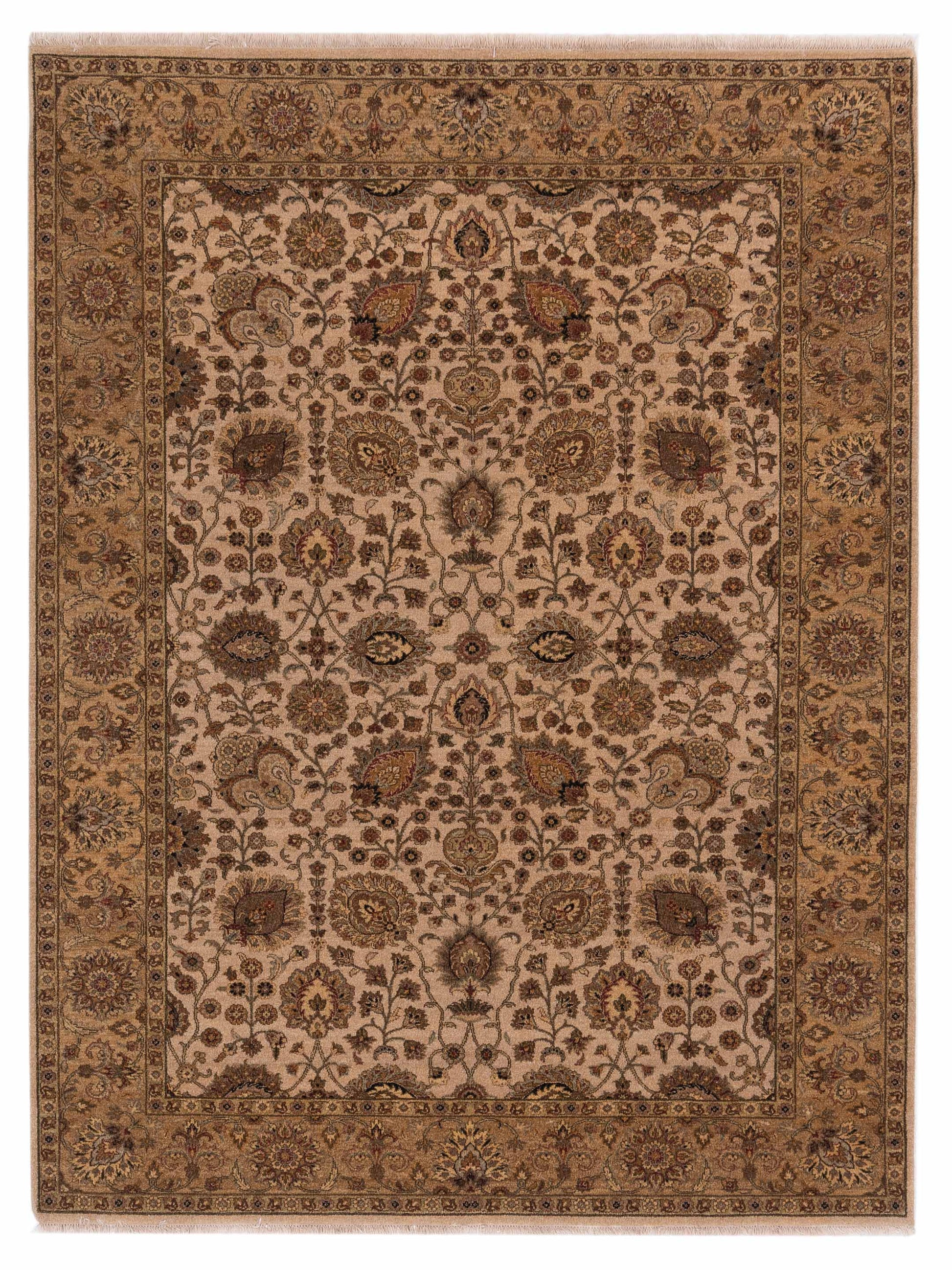 Rajpur Haji Jalili 111280 Beige Transitional Hand Knotted Rug