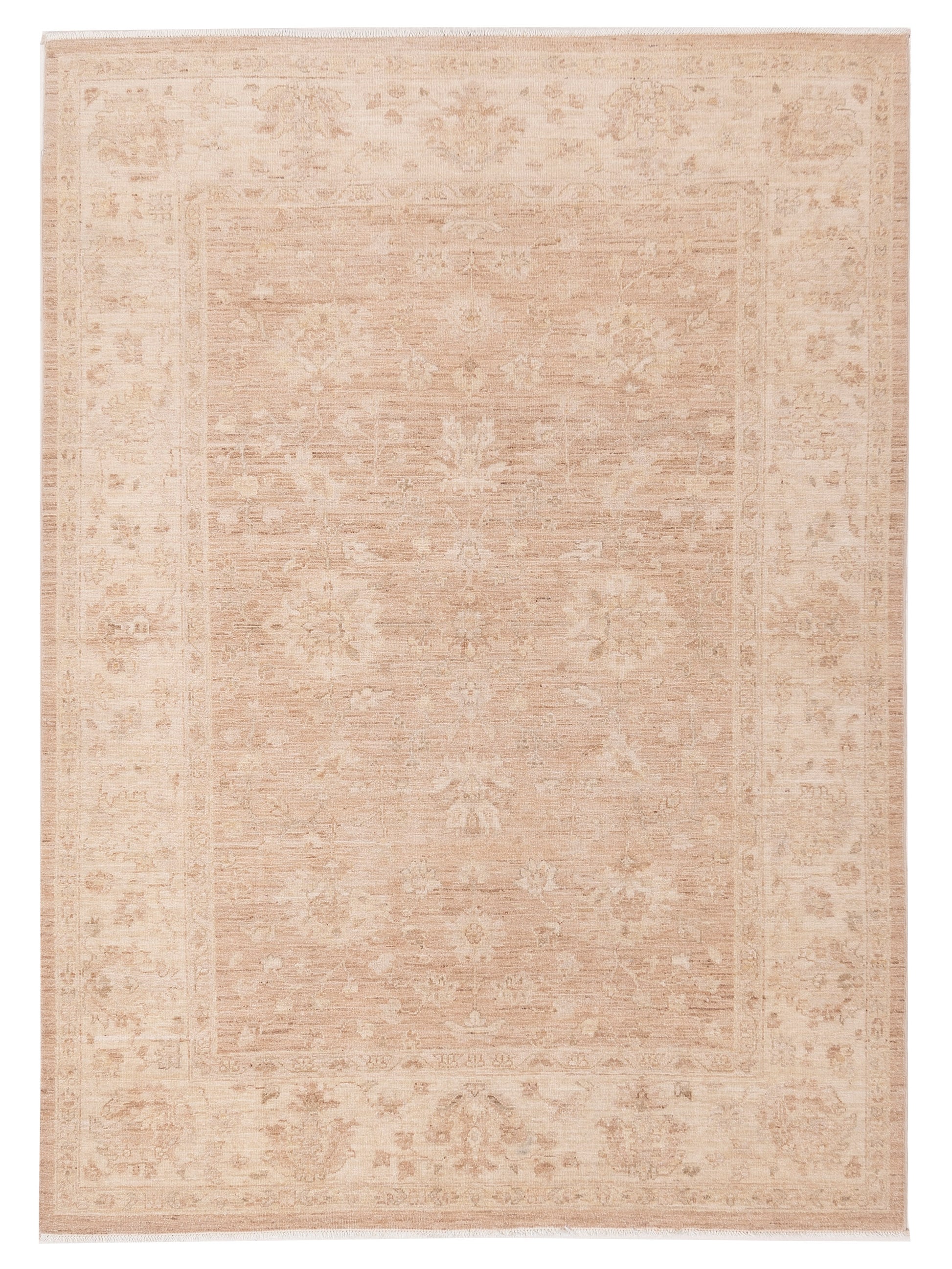 Rajpur Haji Jalili 111346 Beige Transitional Hand Knotted Rug