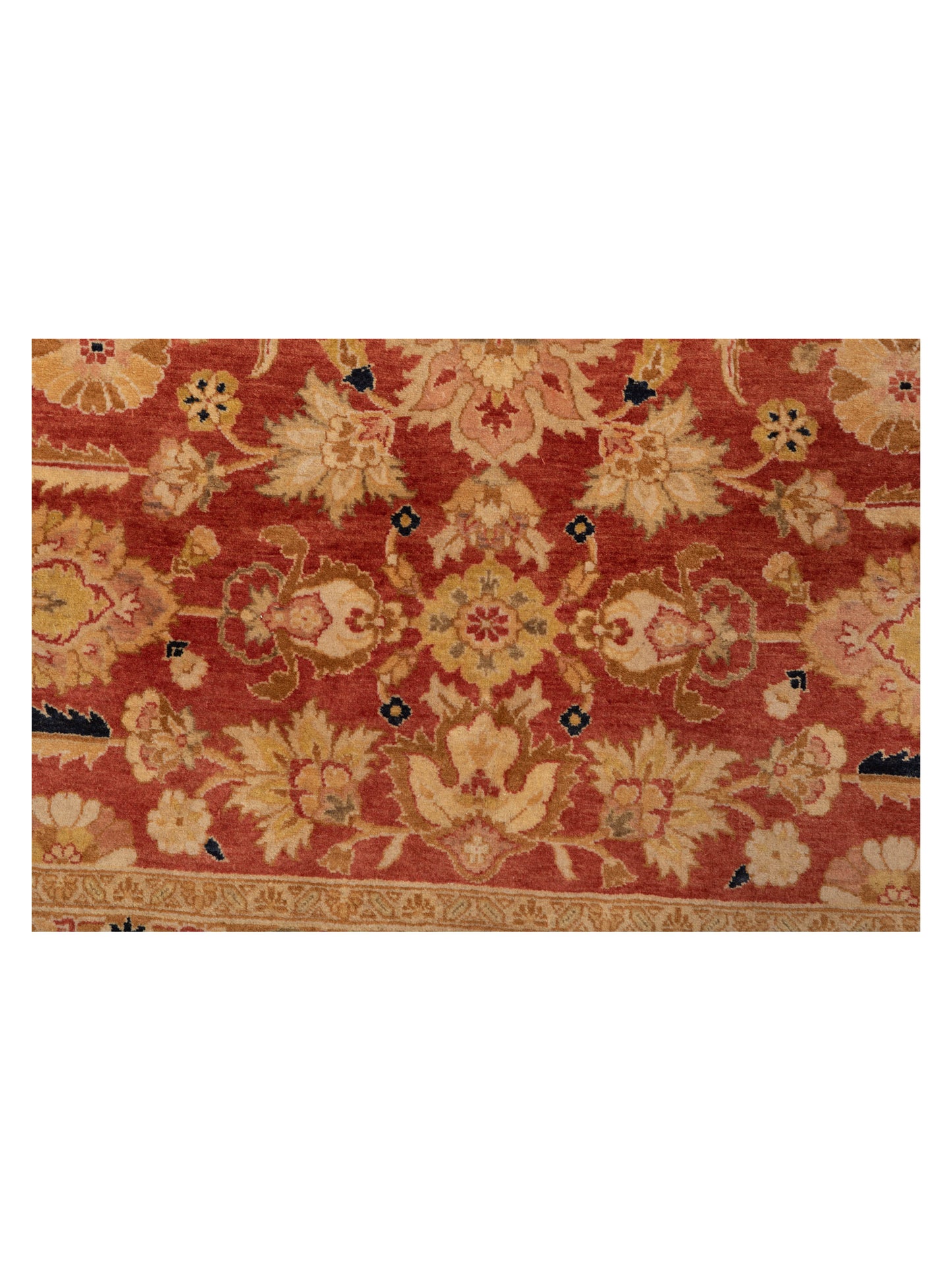 Rajpur Haji Jalili 111409 Rust Gold Transitional Hand Knotted Rug