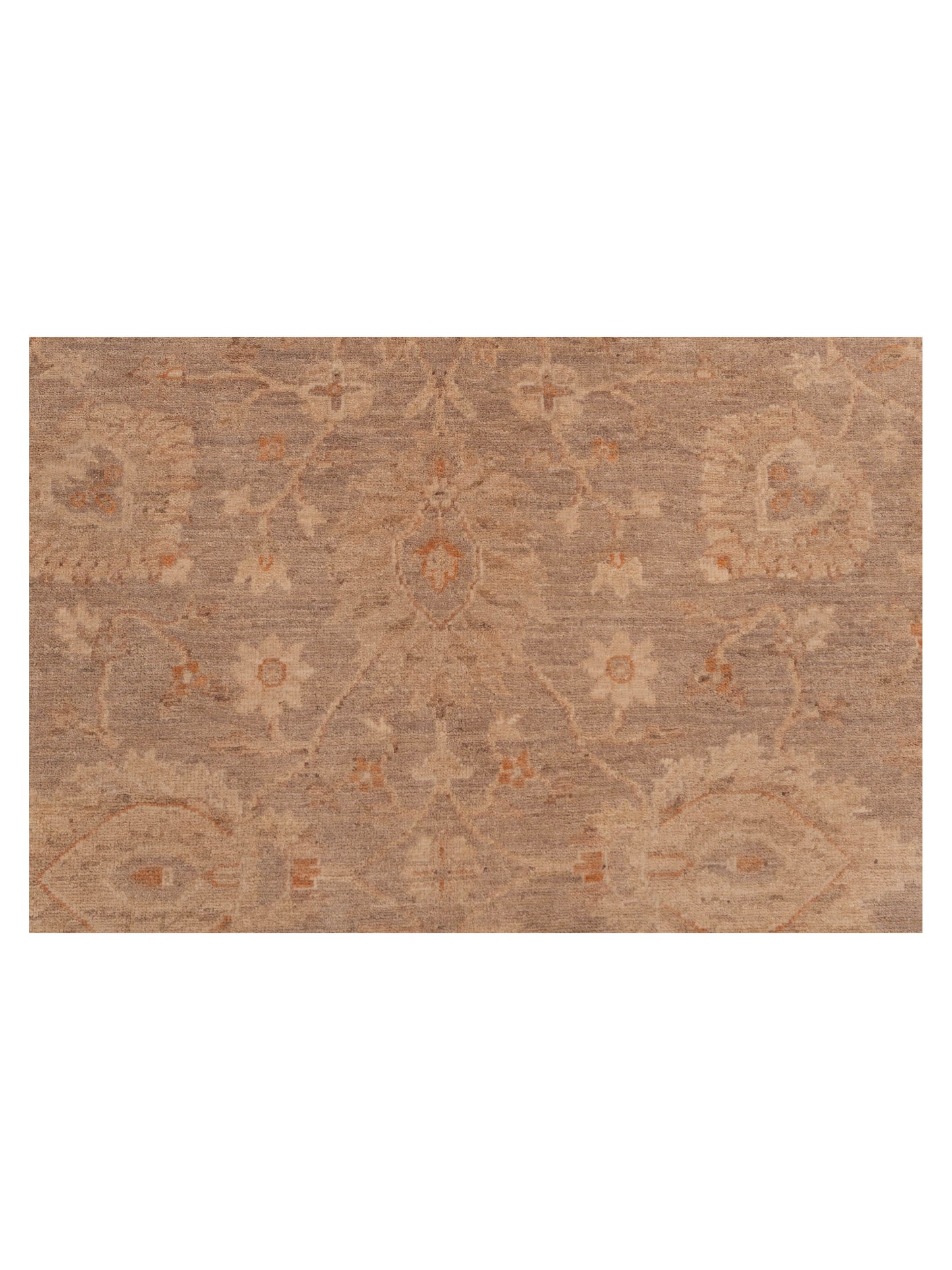 Nomad Laila 112577 Silver Ivory Transitional Hand Knotted Rug