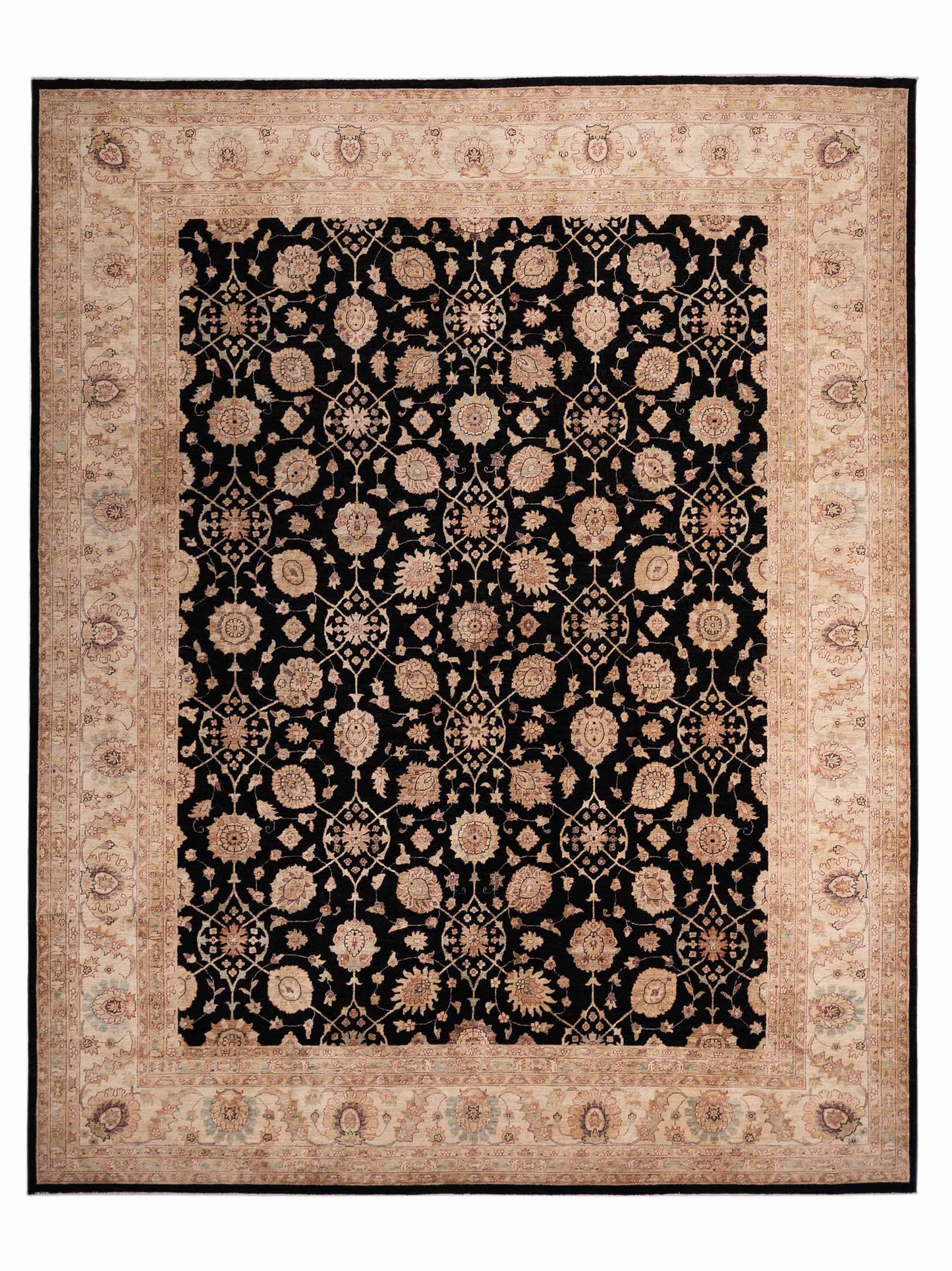 Pasha Sultan 113001 Black Traditional Hand Knotted Rug