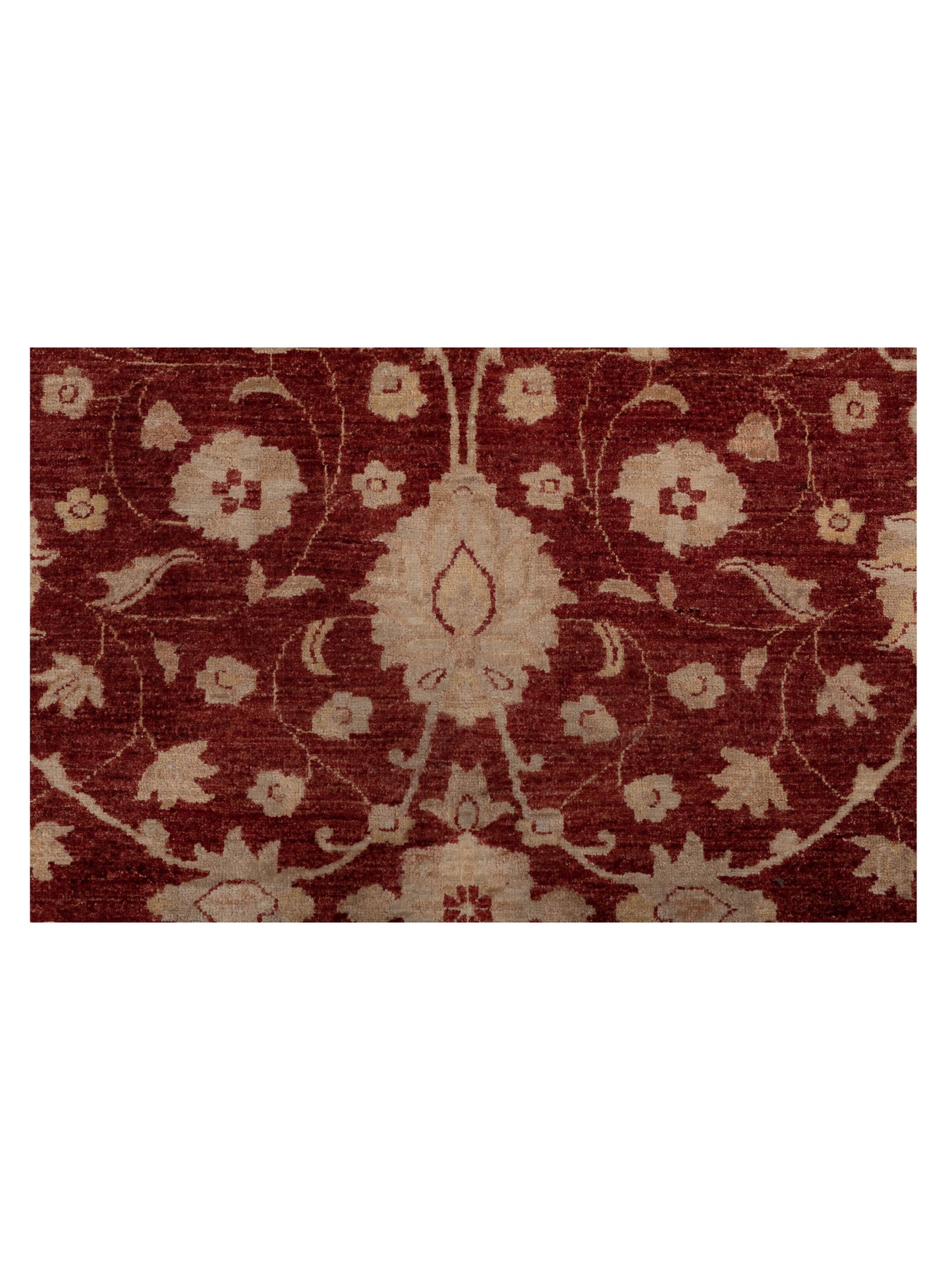 Pasha Sultan 113003 Red Ivory Traditional Hand Knotted Rug