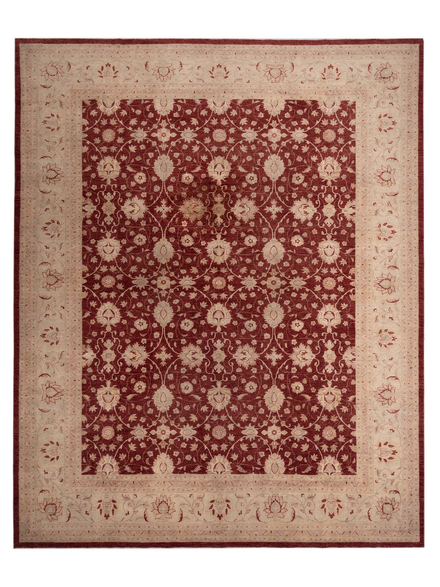 Pasha Sultan 113003 Red Traditional Hand Knotted Rug