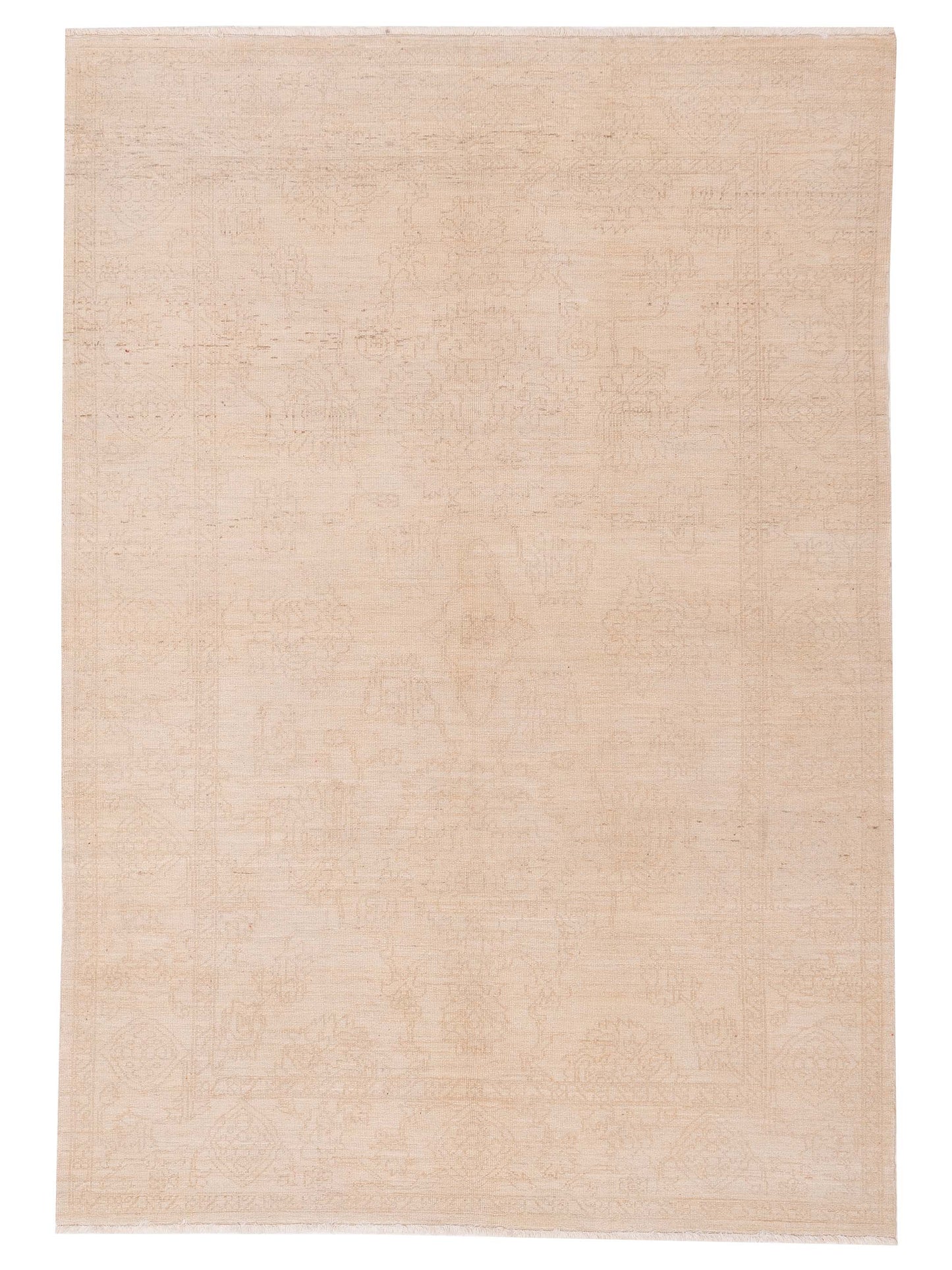 Pasha Ceyhan Jade Ivory Transitional Hand Knotted Rug