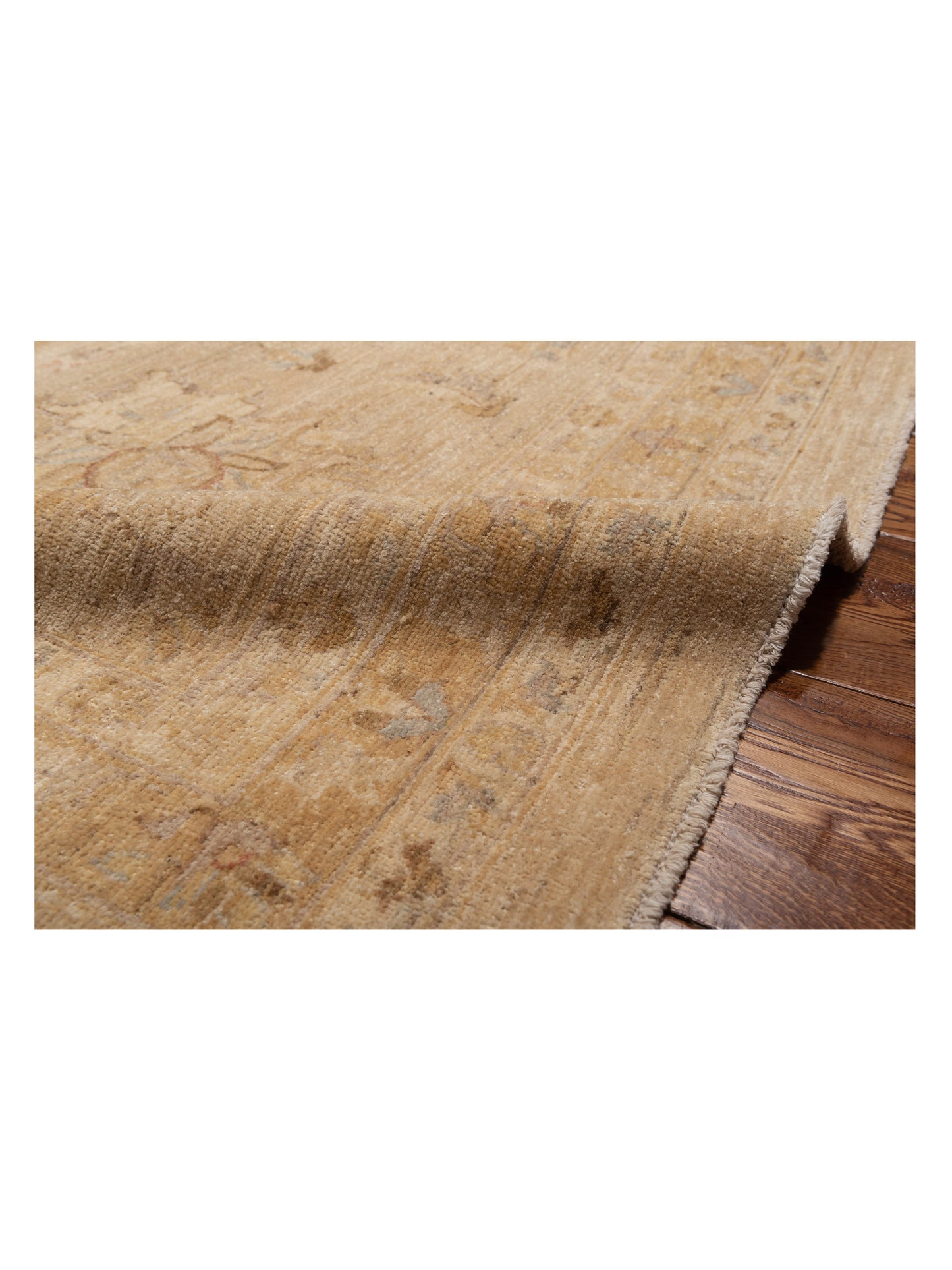 Pasha Sultan 113626 Ivory Gold Traditional Hand Knotted Rug