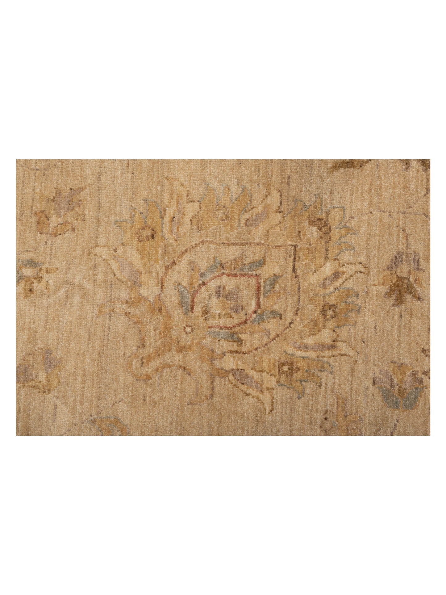 Pasha Sultan 113626 Ivory Gold Traditional Hand Knotted Rug