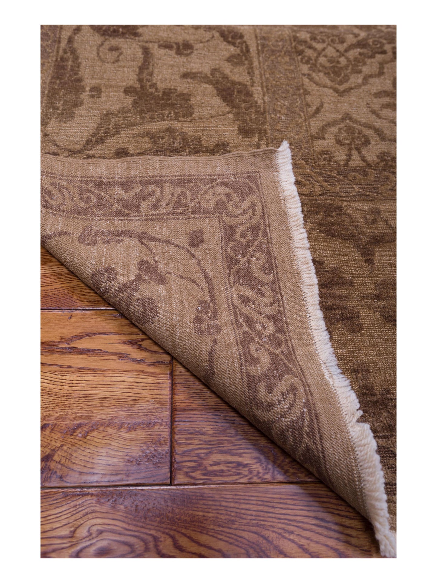 Pasha Defne Tulip Brown Dark Brown Transitional Hand Knotted Rug