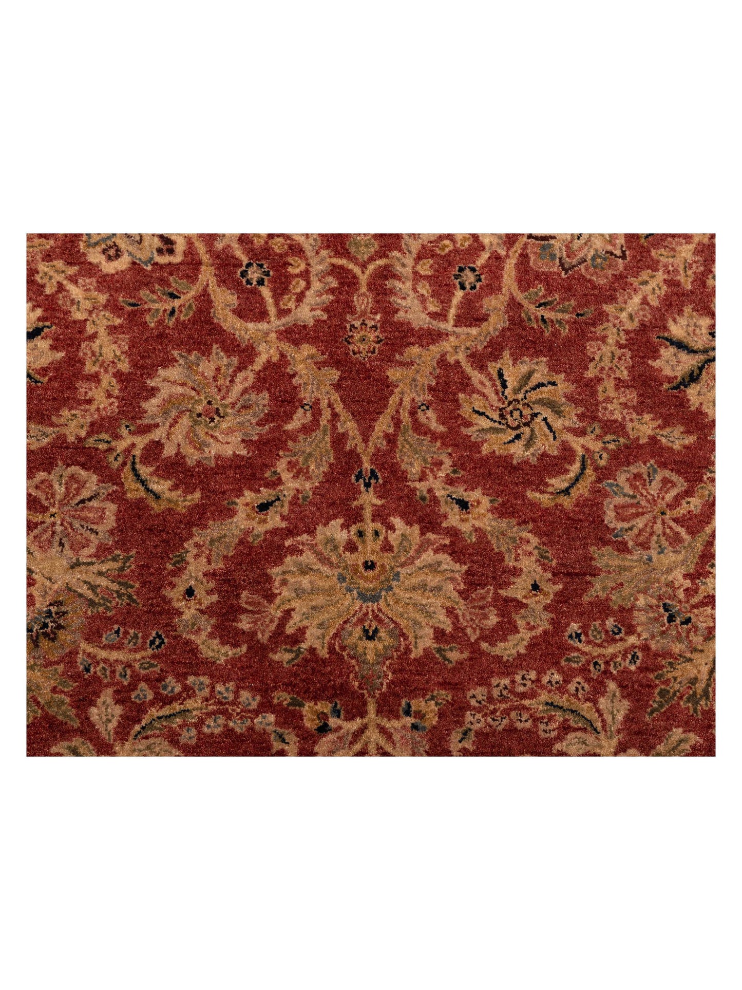 Rajpur Platinum 115022 Red Gold Traditional Hand Knotted Rug