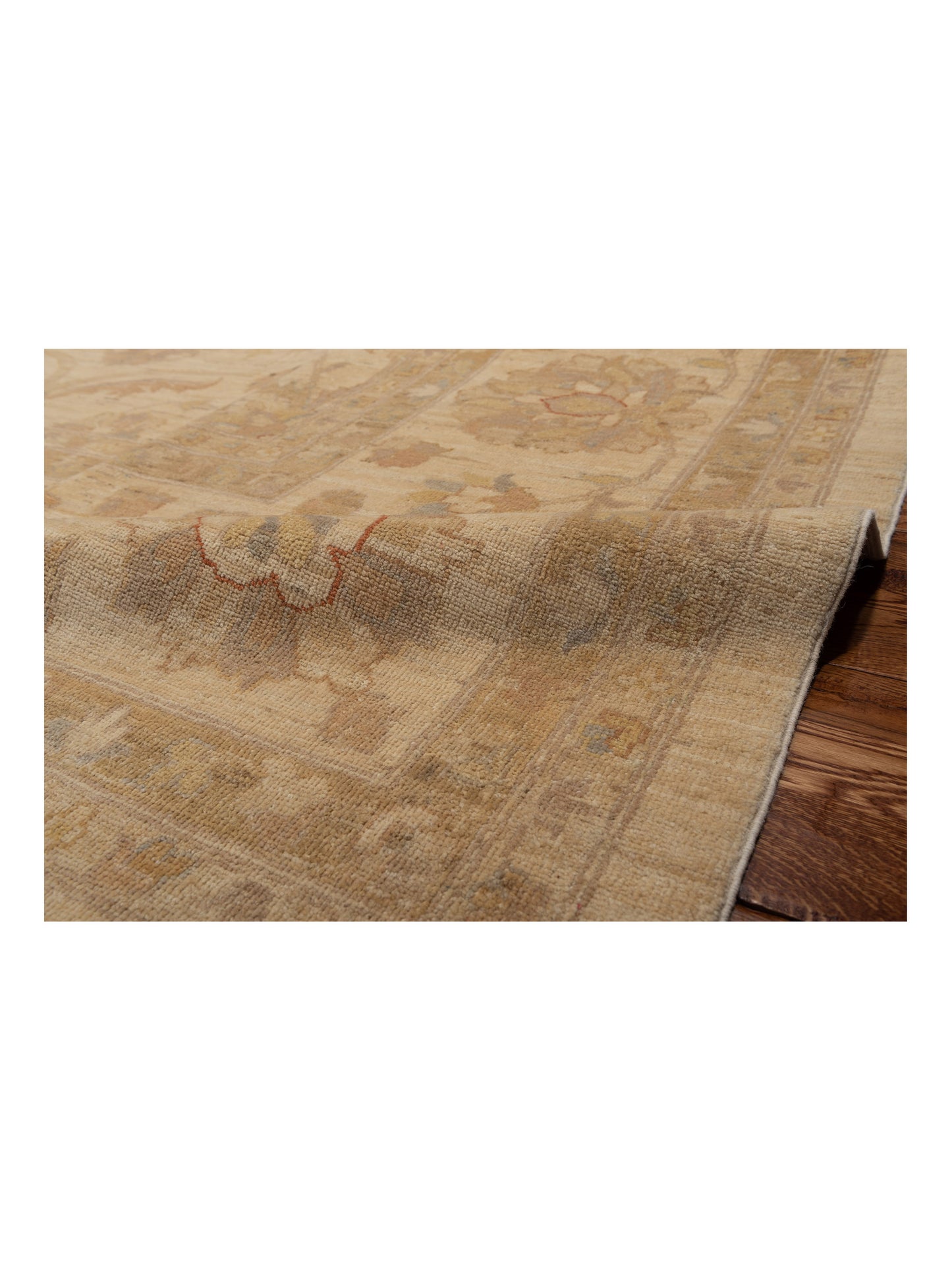 Pasha Sultan 117481 Ivory Ivory Traditional Hand Knotted Rug