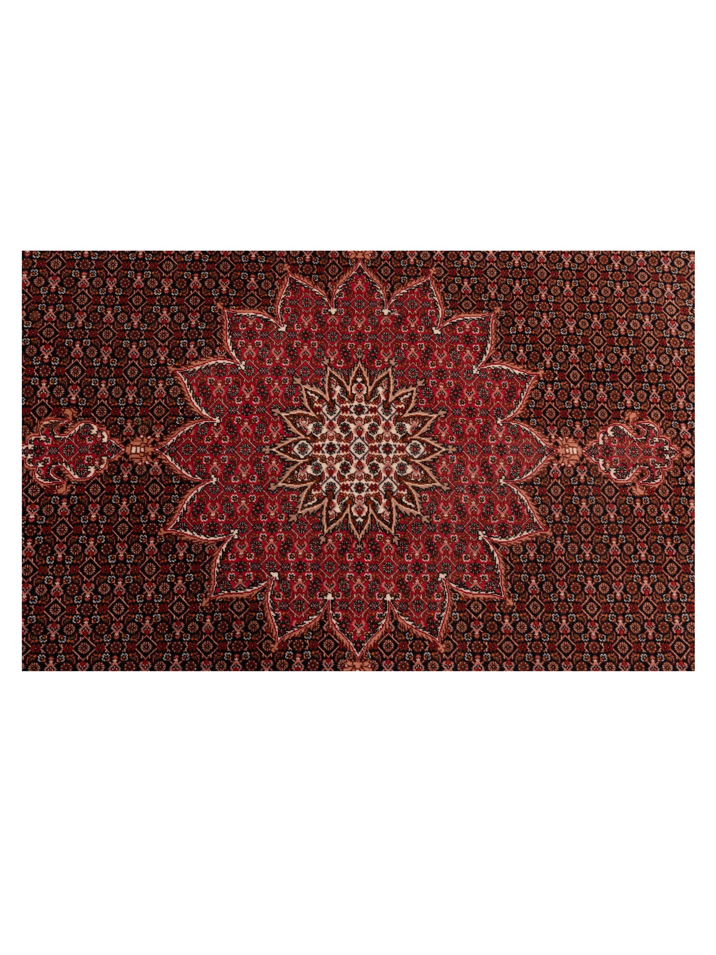 Pasha Fine Tabriz 118718 Black Pink Traditional Hand Knotted Rug