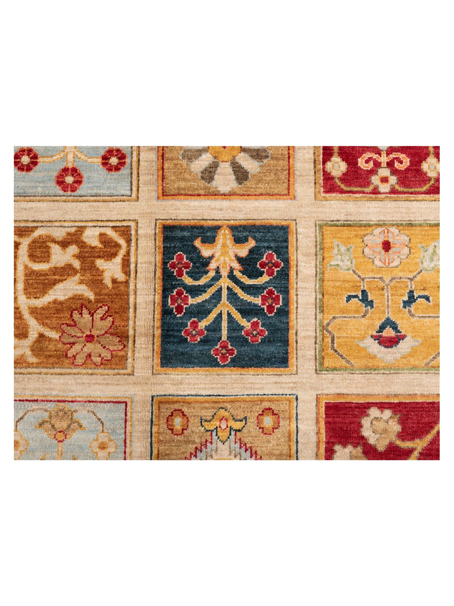 Pasha Sultan 119986 Multi  Tribal Hand Knotted Rug