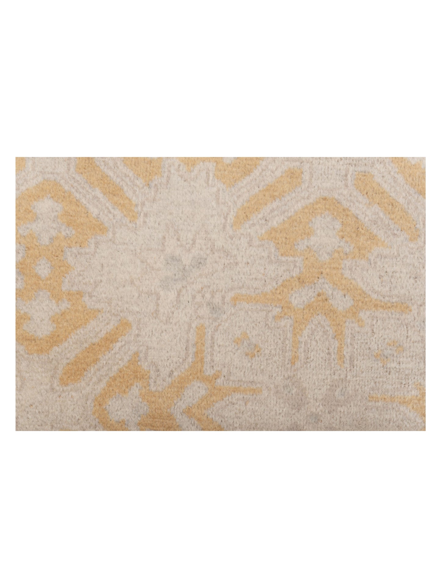 Rajpur Evren 122221 Silver Gold Transitional Hand Knotted Rug