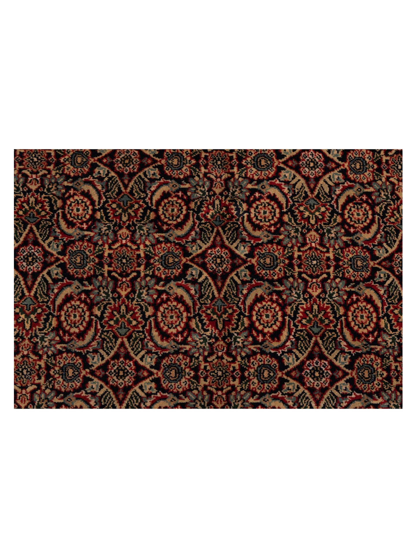 Rajpur Crown 123095 Black Red Transitional Hand Knotted Rug