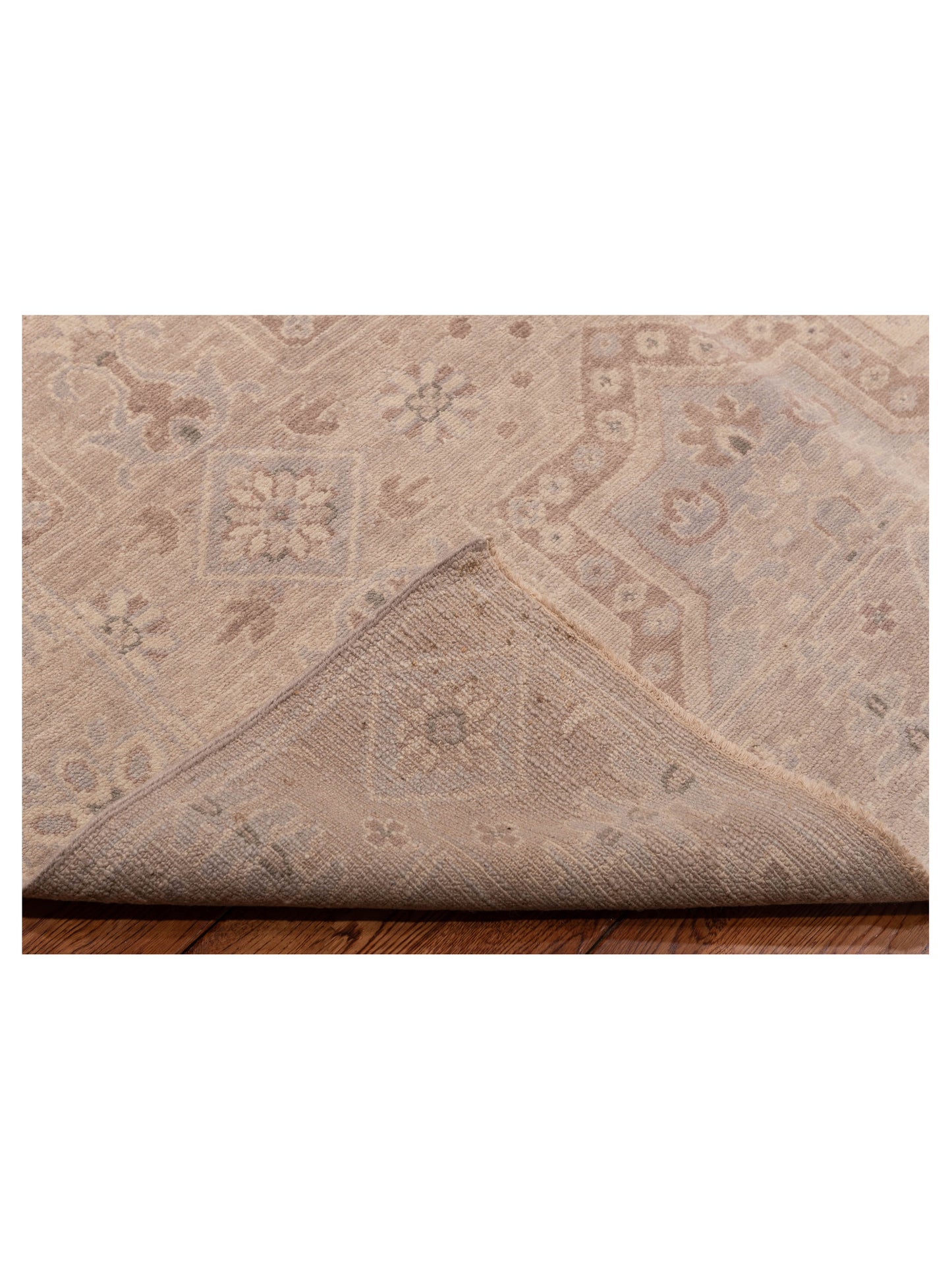 Rajpur Andalusia 125886 Light Brown  Transitional Hand Knotted Rug