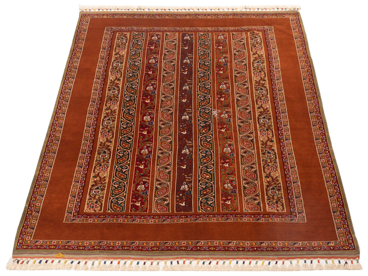 Rajpur Shawl 145133 Multi  Tribal Hand Knotted Rug