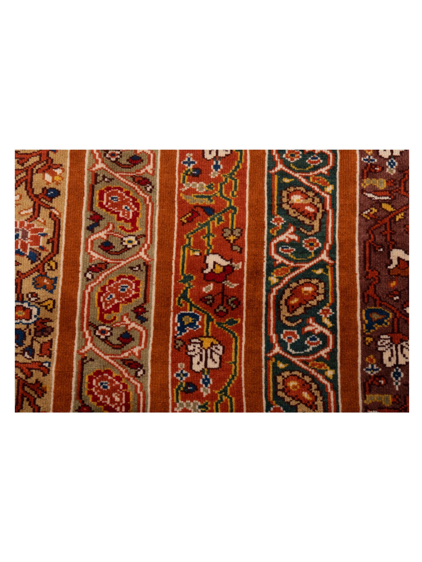 Rajpur Shawl 145133 Multi  Tribal Hand Knotted Rug