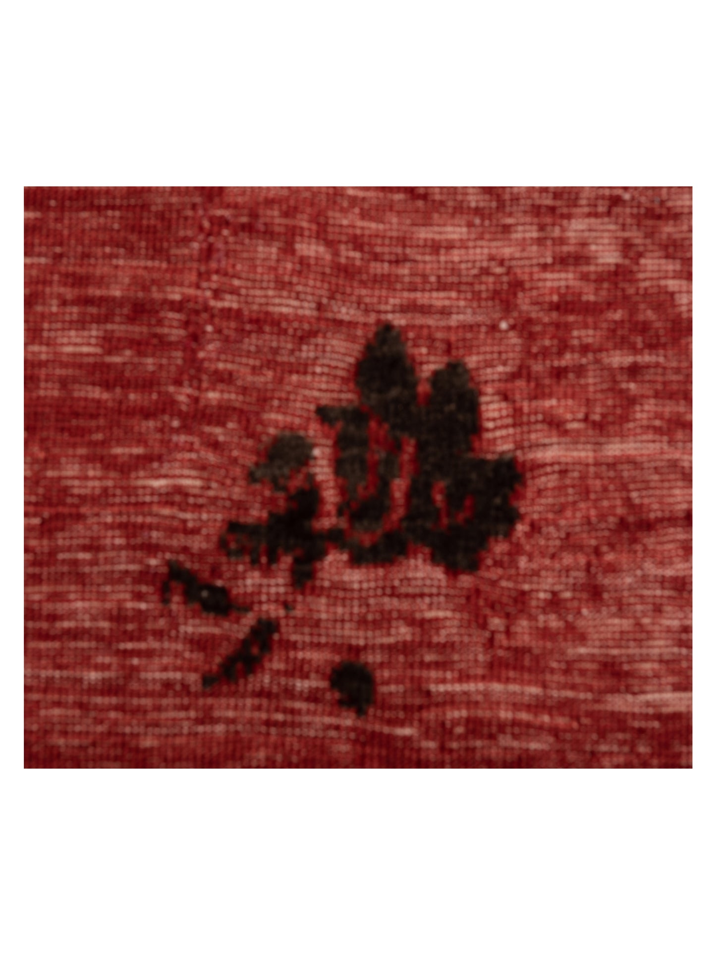 Pasha Defne Clove Red Charcoal Transitional Hand Knotted Rug