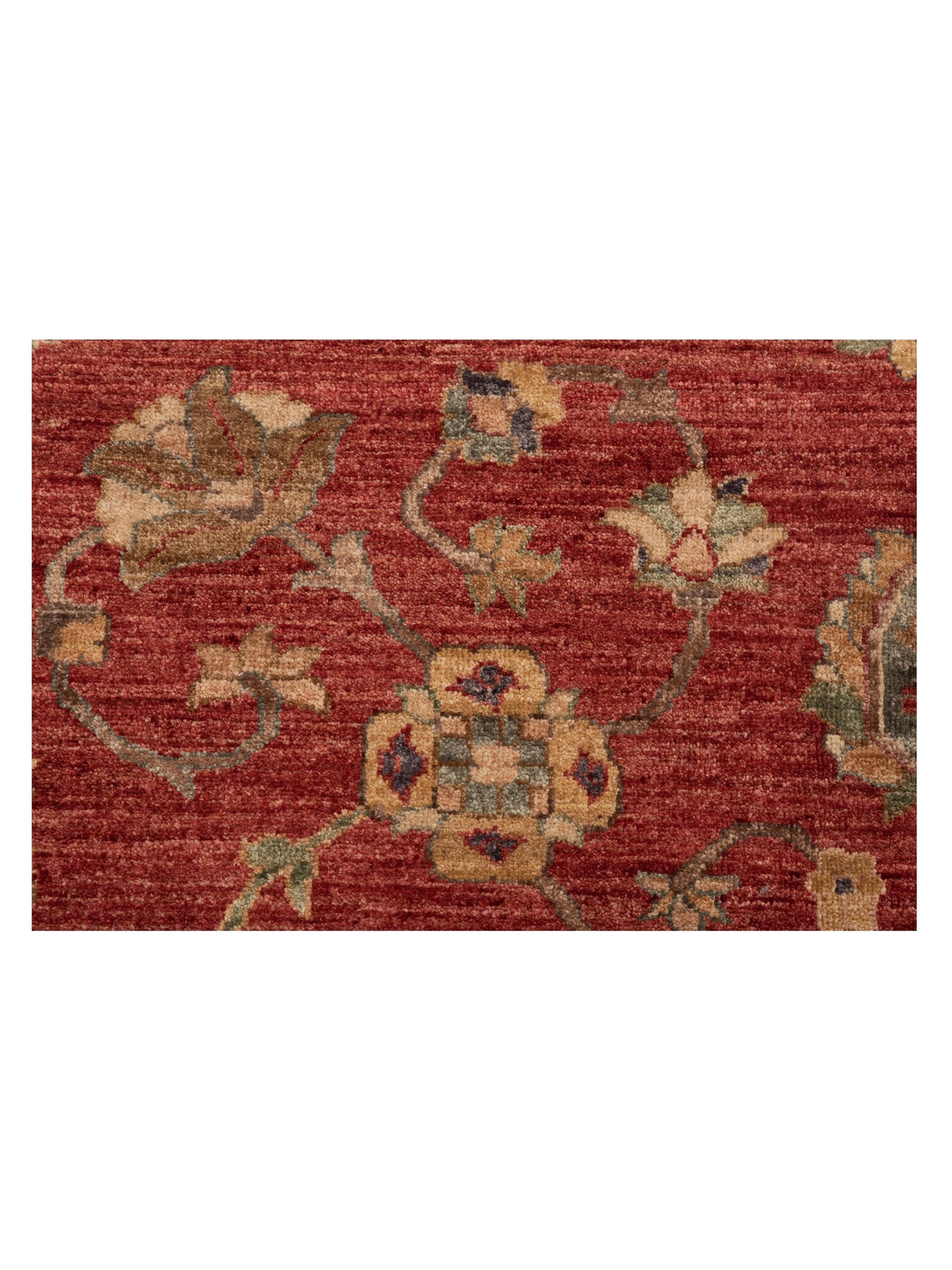 Pasha Elvan Tansu Red Ivory Traditional Hand Knotted Rug