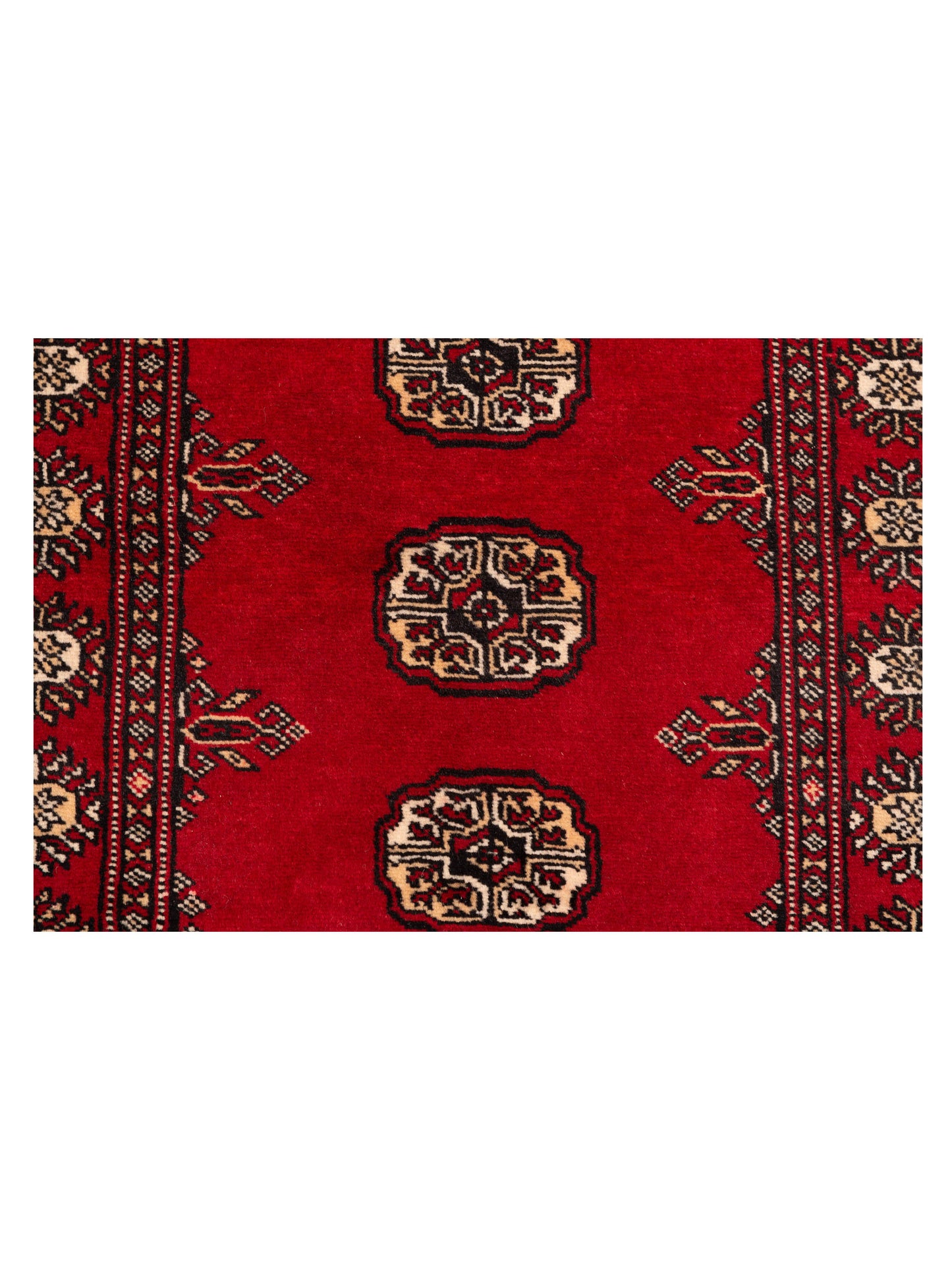 Nomad Bokhara 145537 Red Red Traditional Hand Knotted Rug