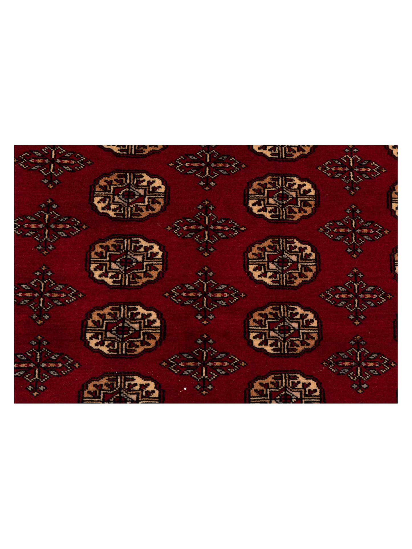 Nomad Bokhara 145661 Red Red Traditional Hand Knotted Rug - 6x9