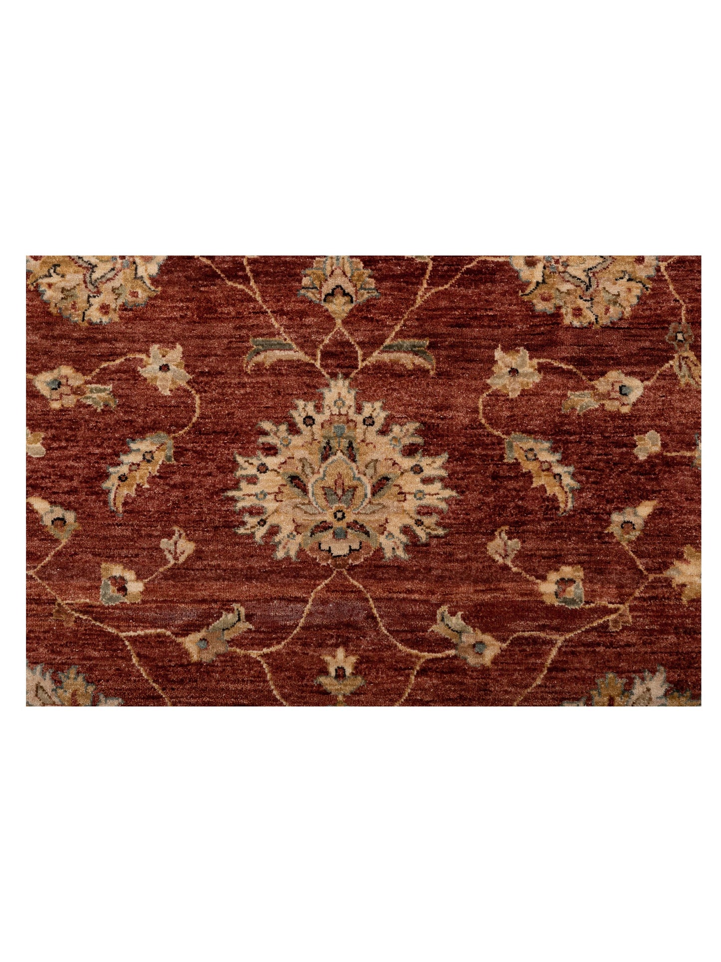 Rajpur Ghazani 148315 Rust Ivory Transitional Hand Knotted Rug